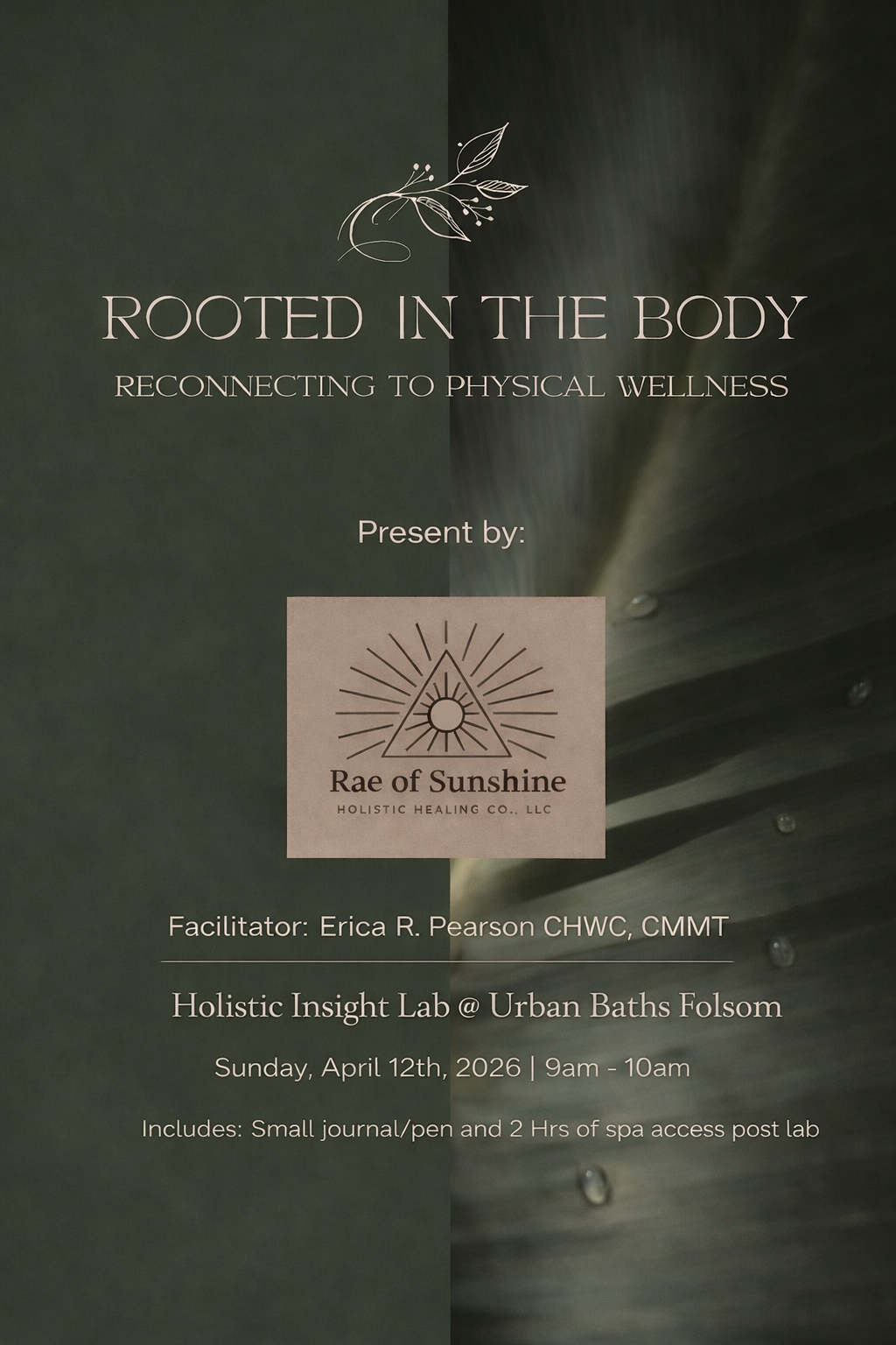 Holistic Insight Lab-Folsom