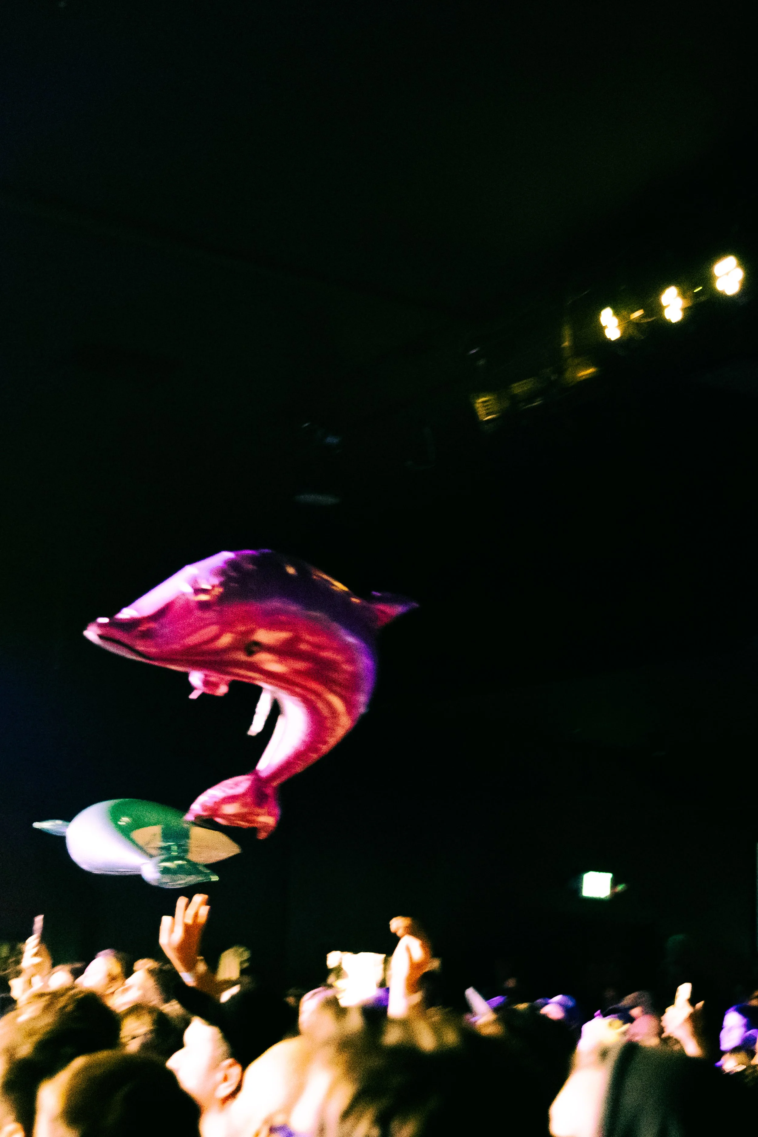 Gelli Haha Live at The Roxy.JPG