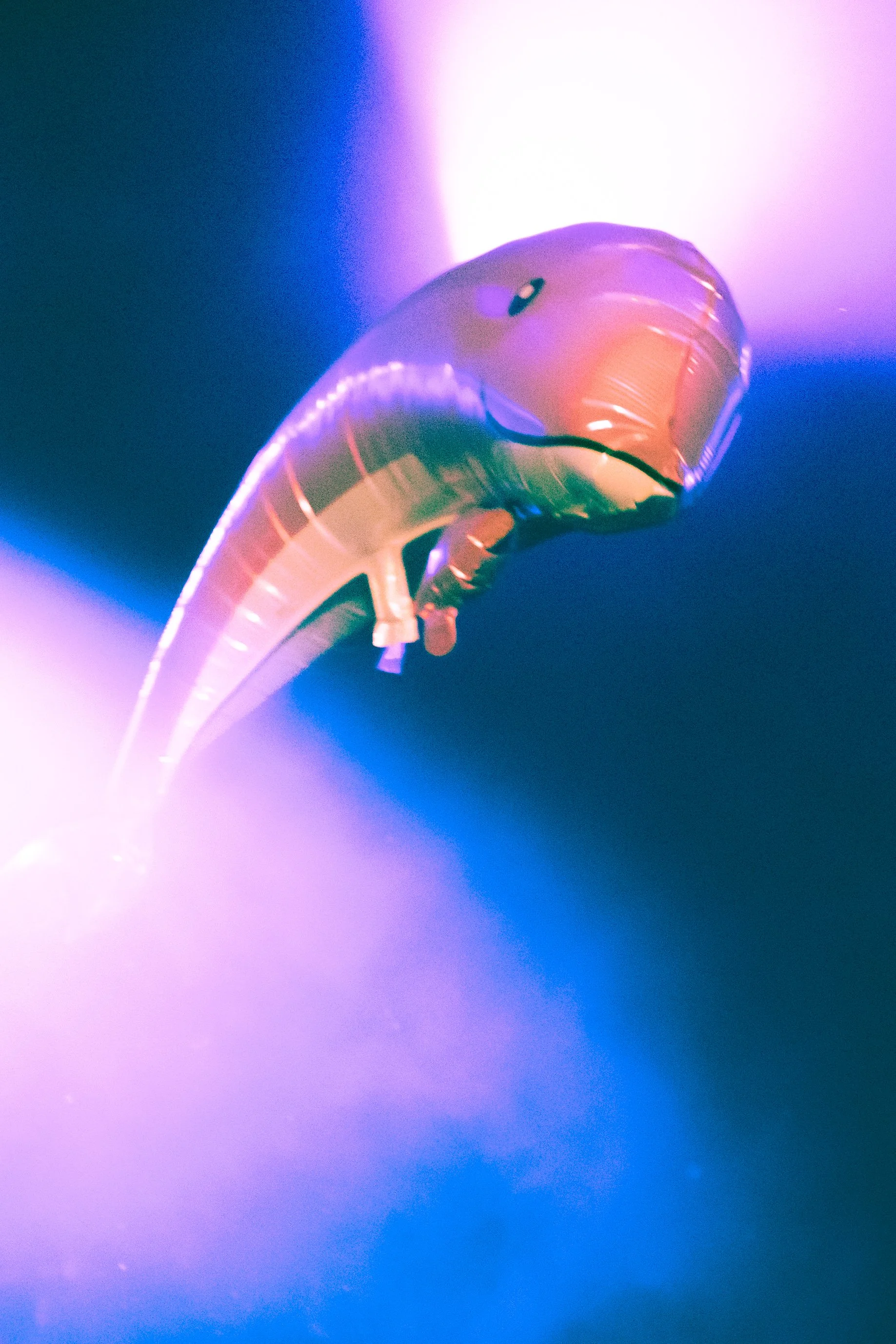 Gelli Haha Live at The Roxy.JPG