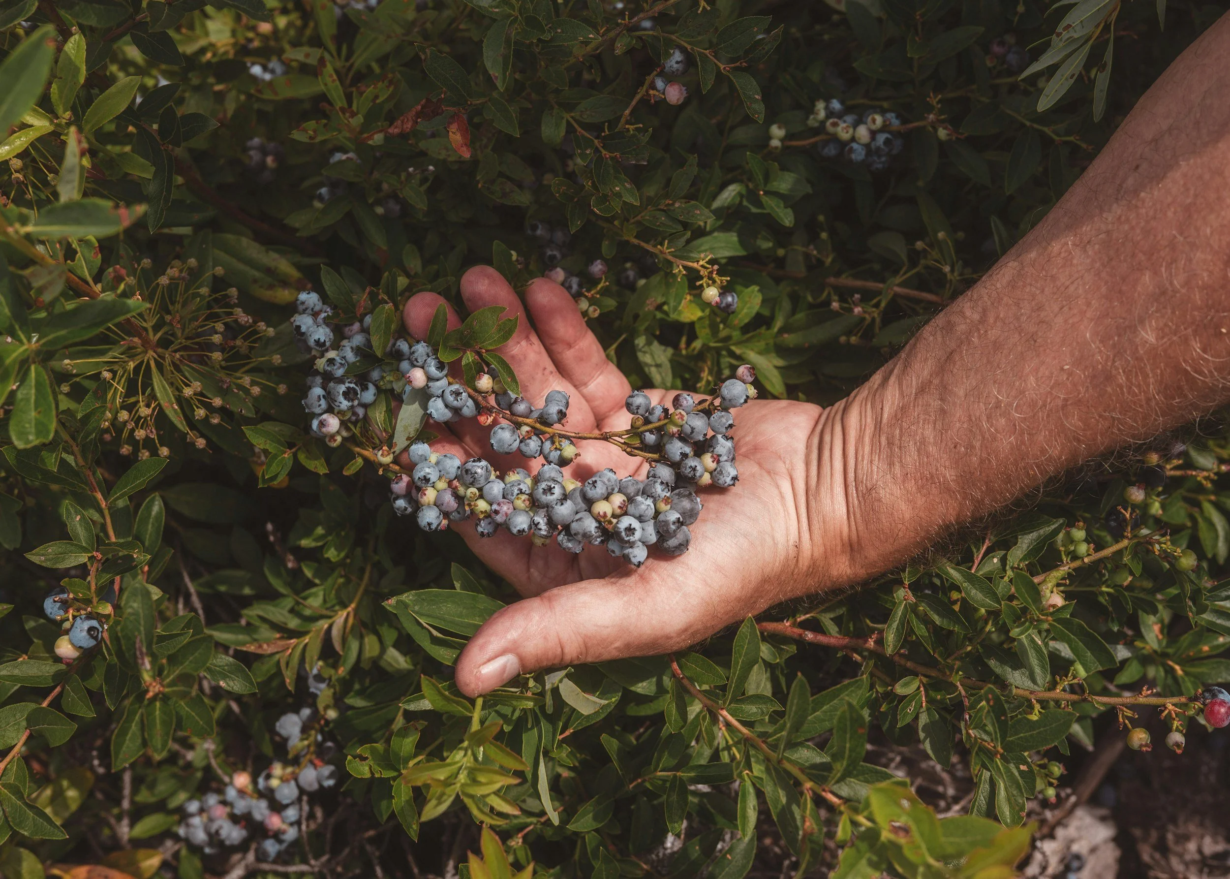 8 Kid-Friendly Activities Around Southport Island