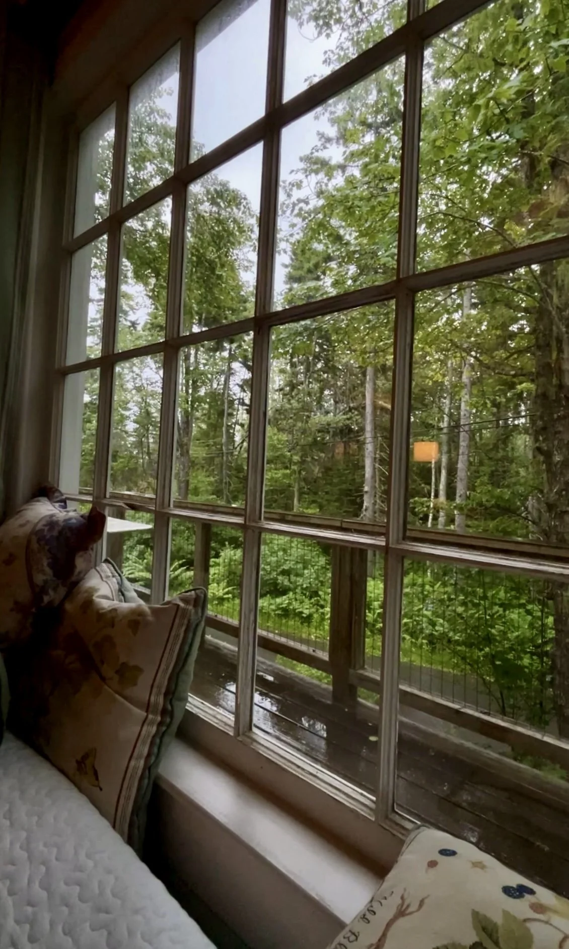 What to Expect During a Rainy Day at the Cottage