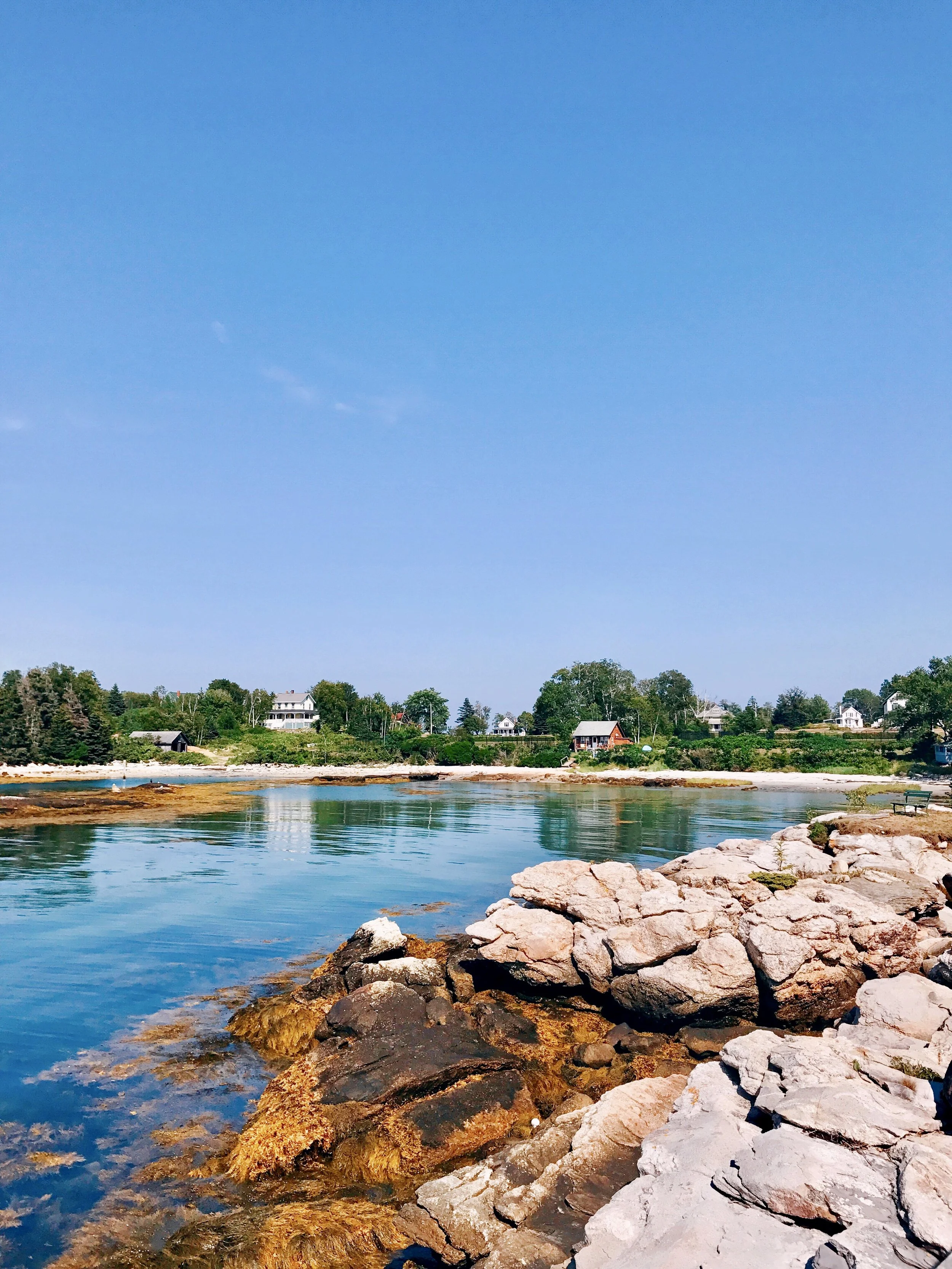 A peaceful coastal scene with calm water, rocky shoreline, and houses in the distance under a clear blue sky.