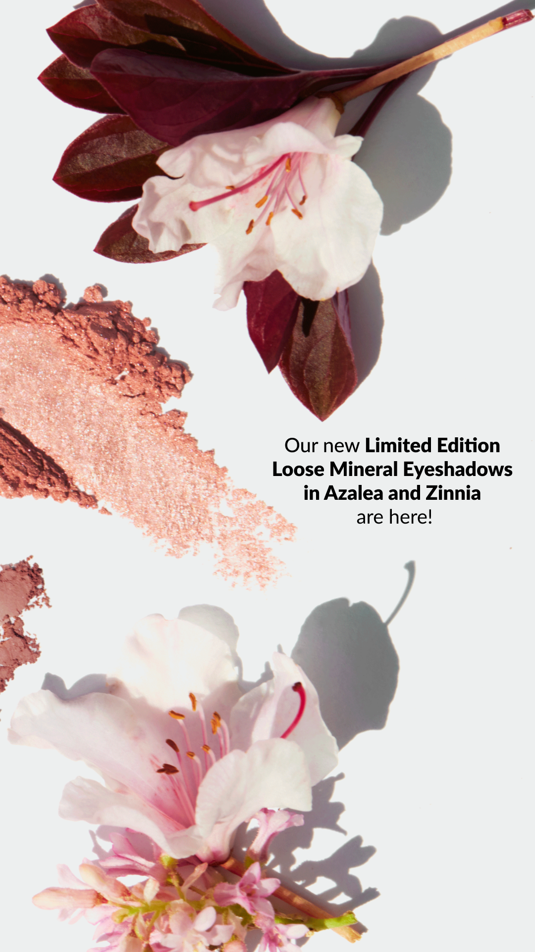 Close-up of pink azalea flowers with dark green and red leaves, along with crushed loose mineral eyeshadow in blush pink and light beige colors, on a white background.