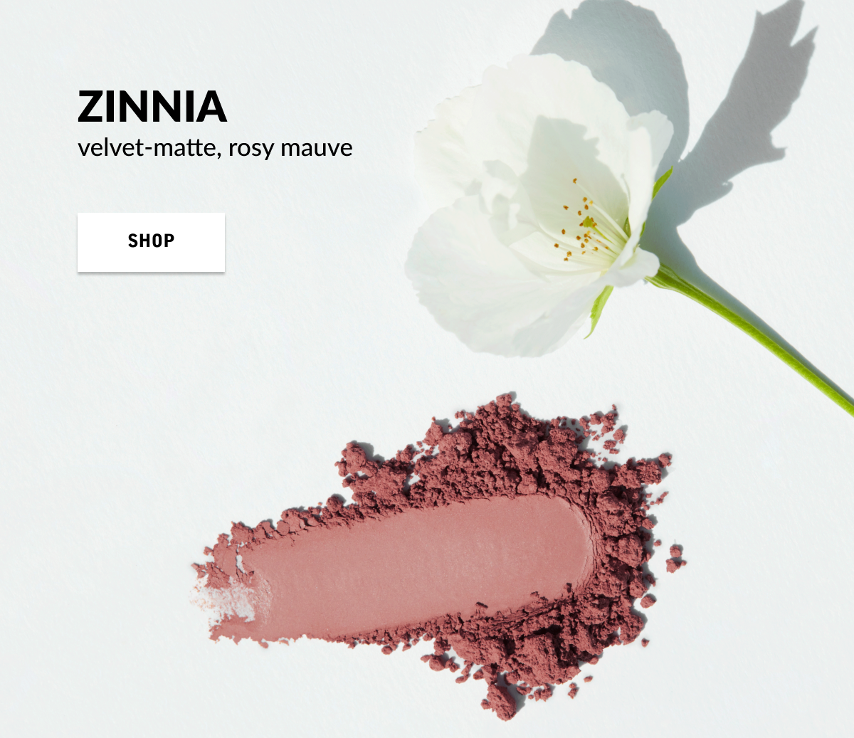 A white flower with green stem positioned above a smear of pinkish-mauve powder with shadows cast on a white background, advertising Zinnia makeup products.