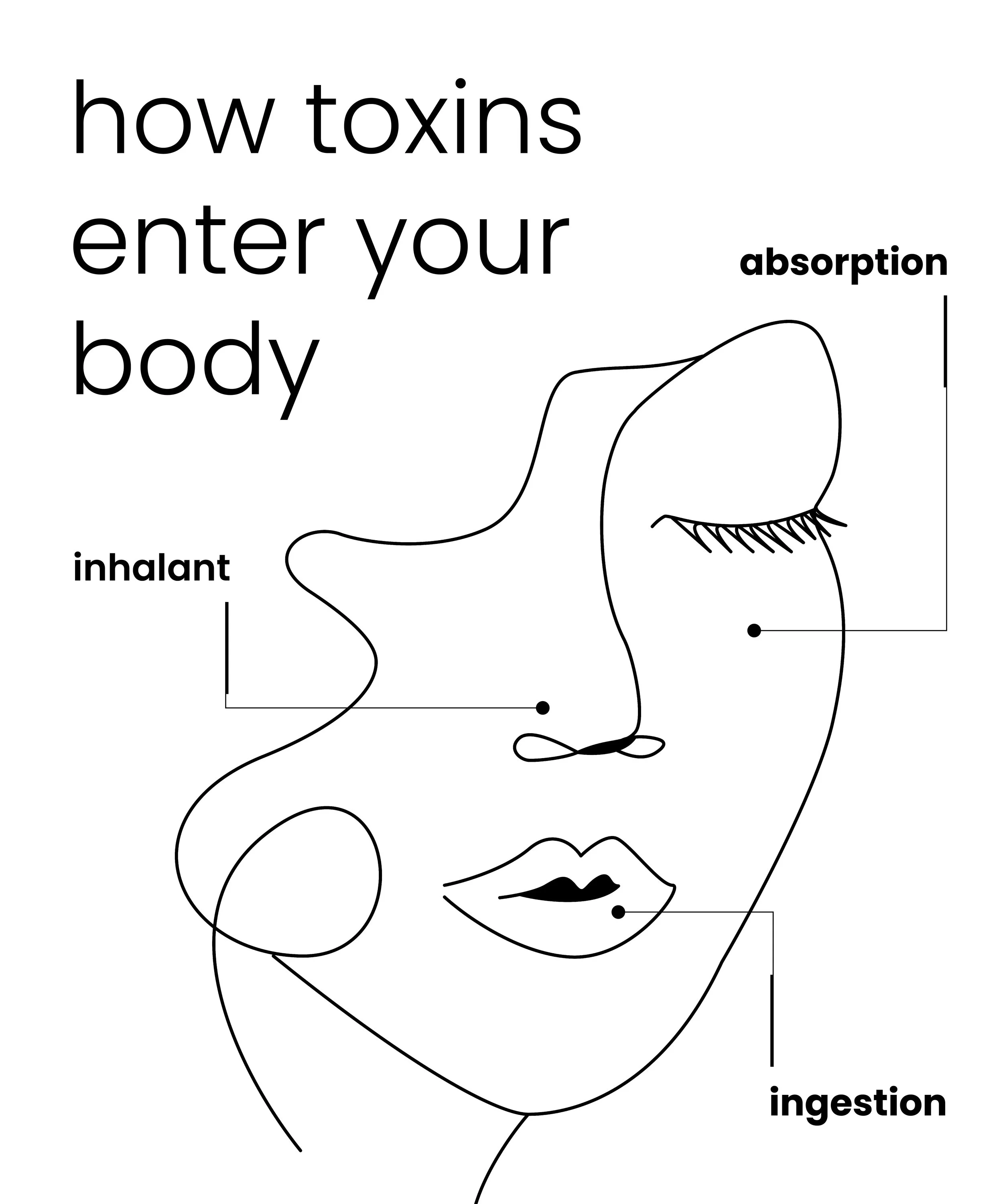 A line drawing of a face with labels indicating how toxins enter the body, including 'absorption' near the eyes, 'inhalant' near the nose, and 'ingestion' near the mouth.