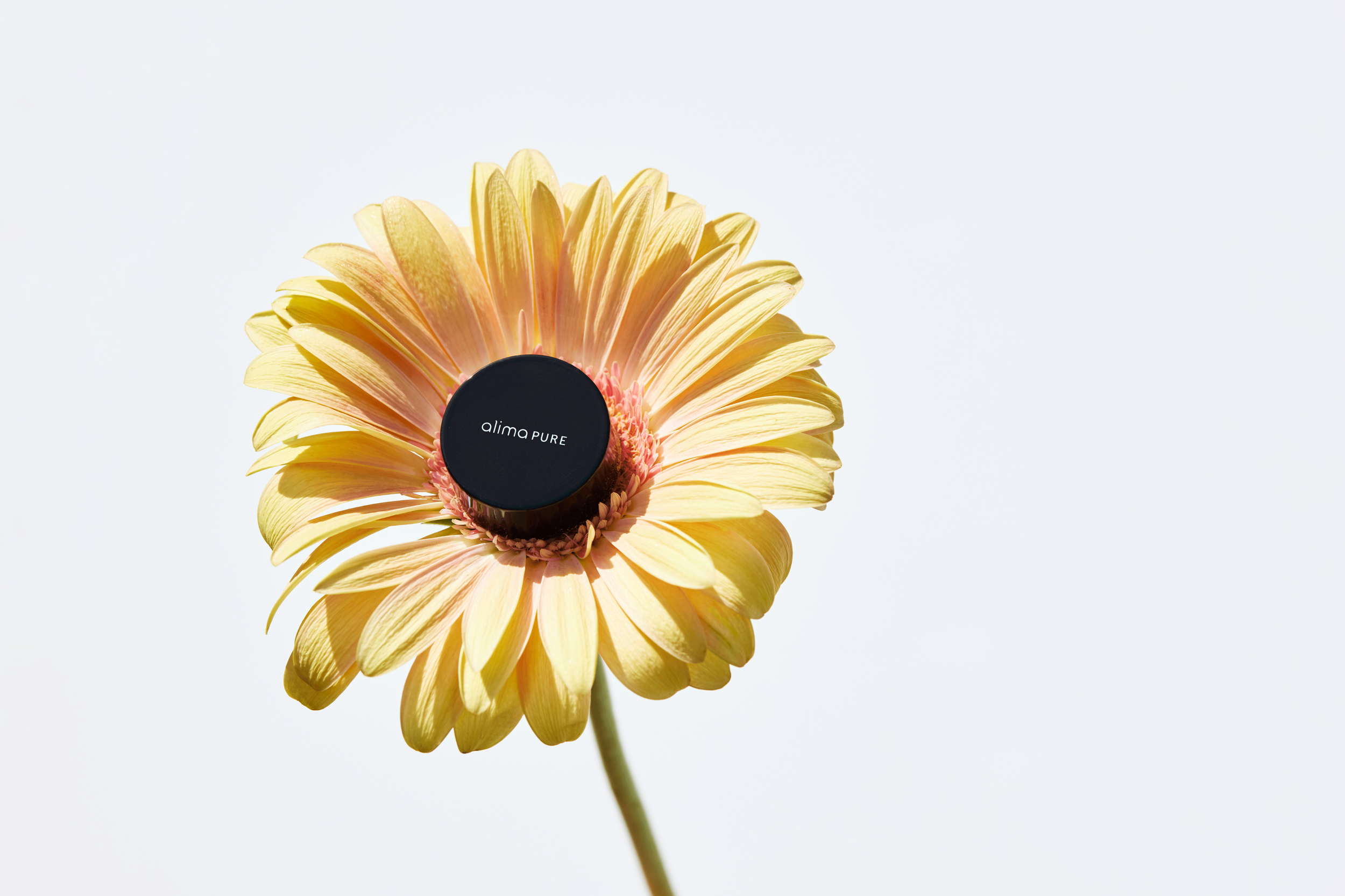A yellow flower with a black lid labeled 'alina PURE' placed over its center, against a plain white background.
