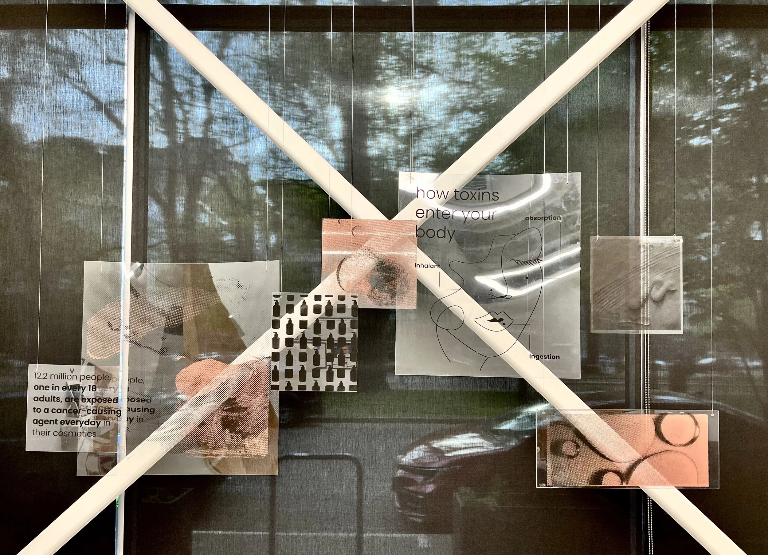 An informational display about how toxins enter the human body, featuring text, illustrations of a face, and various images and patterns on transparent panels, with window reflections in the background.