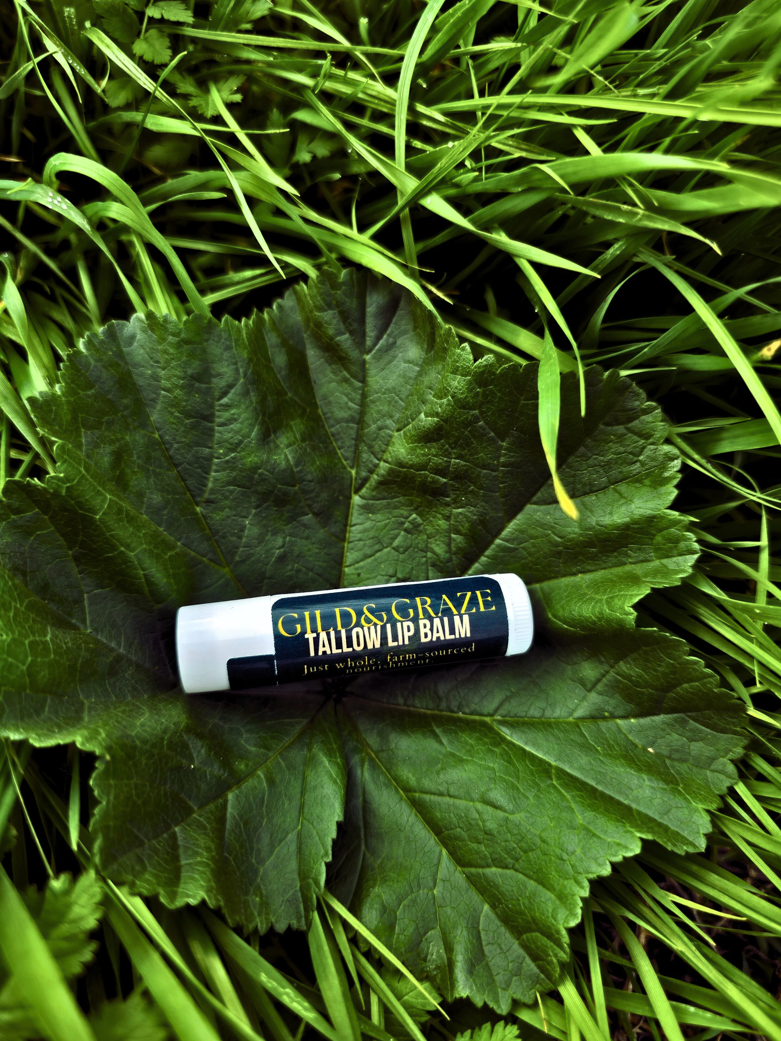 Tallow Lip Balm