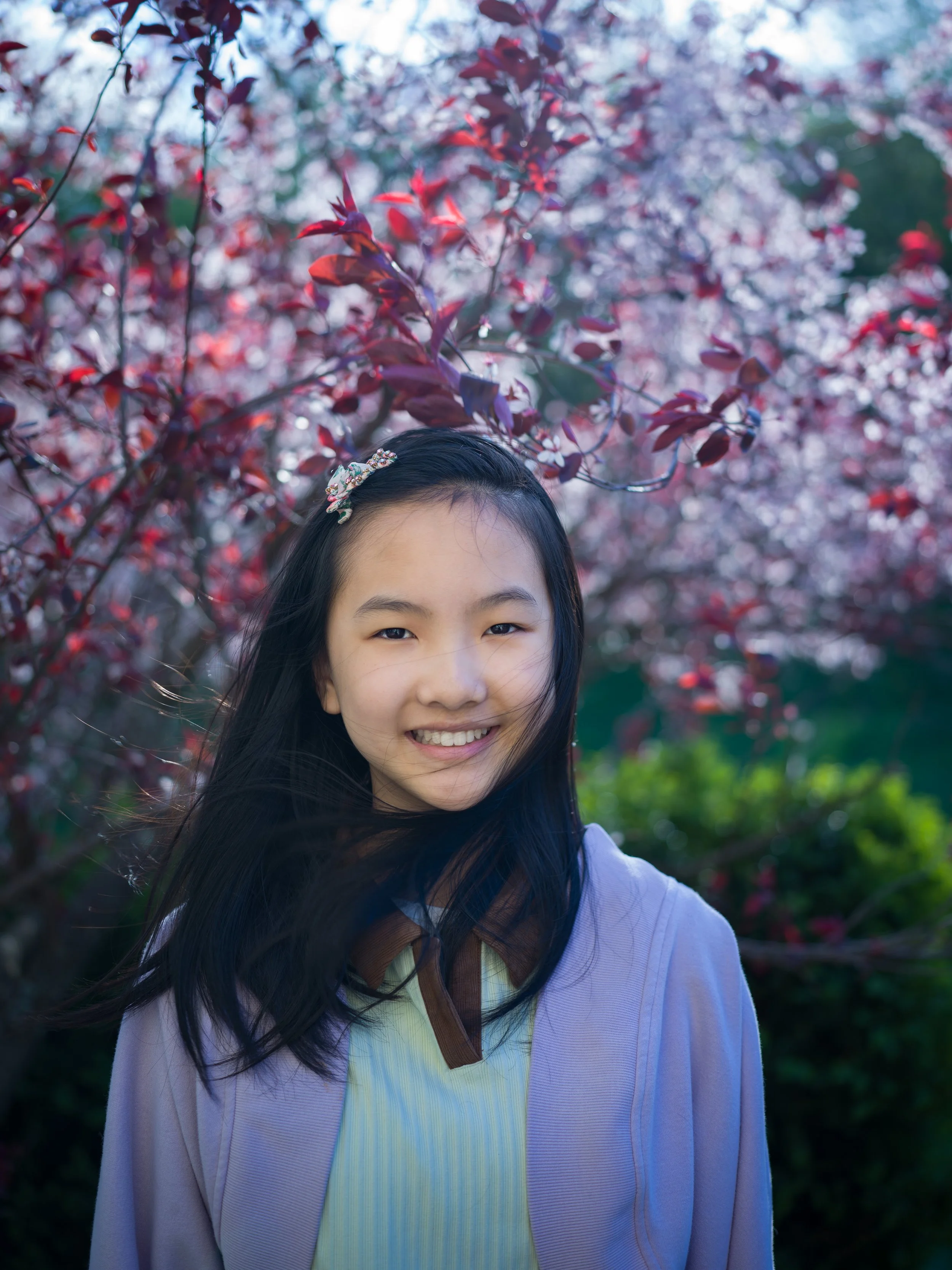 Import 000000000000565101BC11FA000021CC_denoised_p.jpg