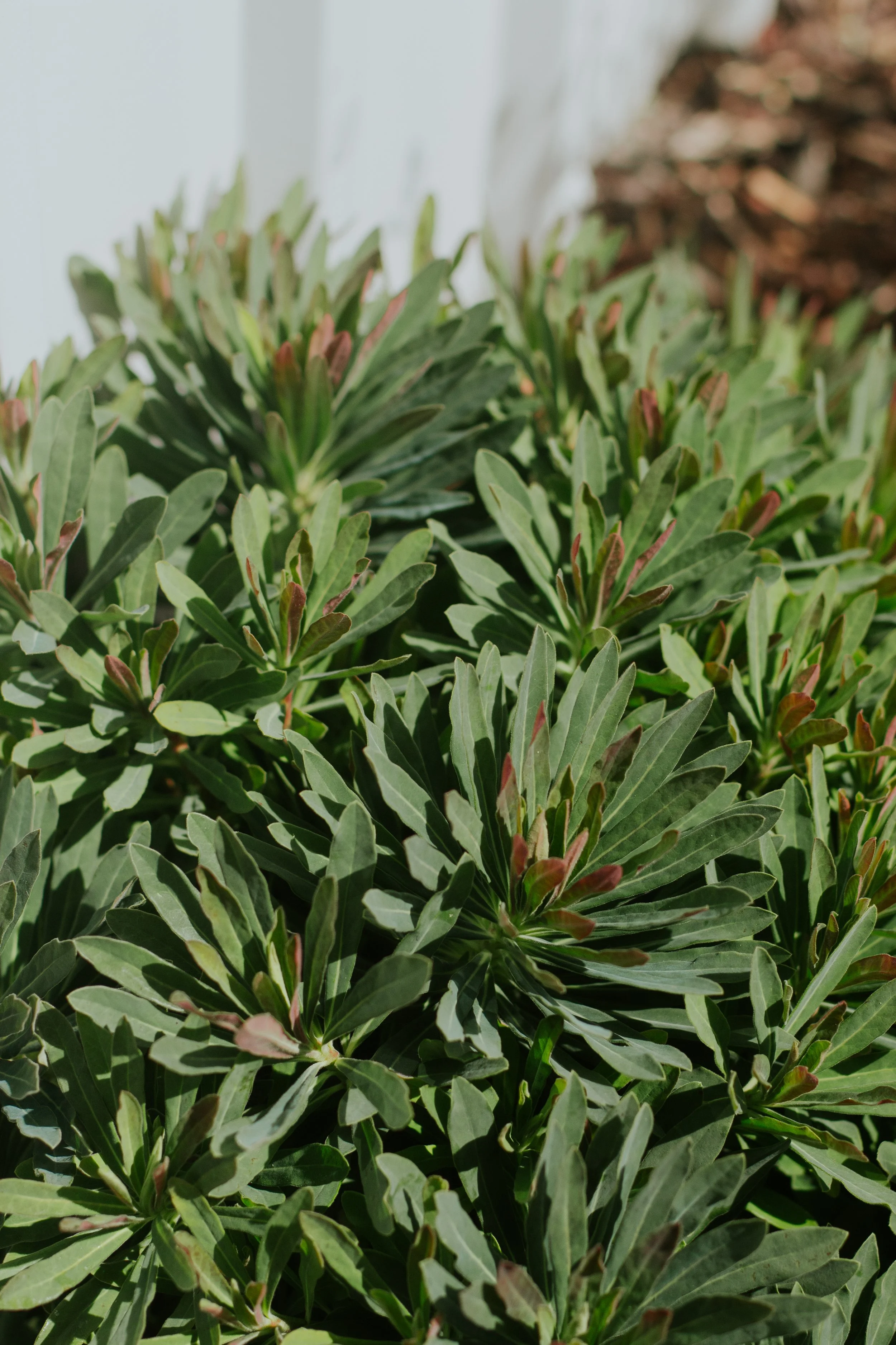 Photo 30-01-2026, 3 45 51 PM.jpg