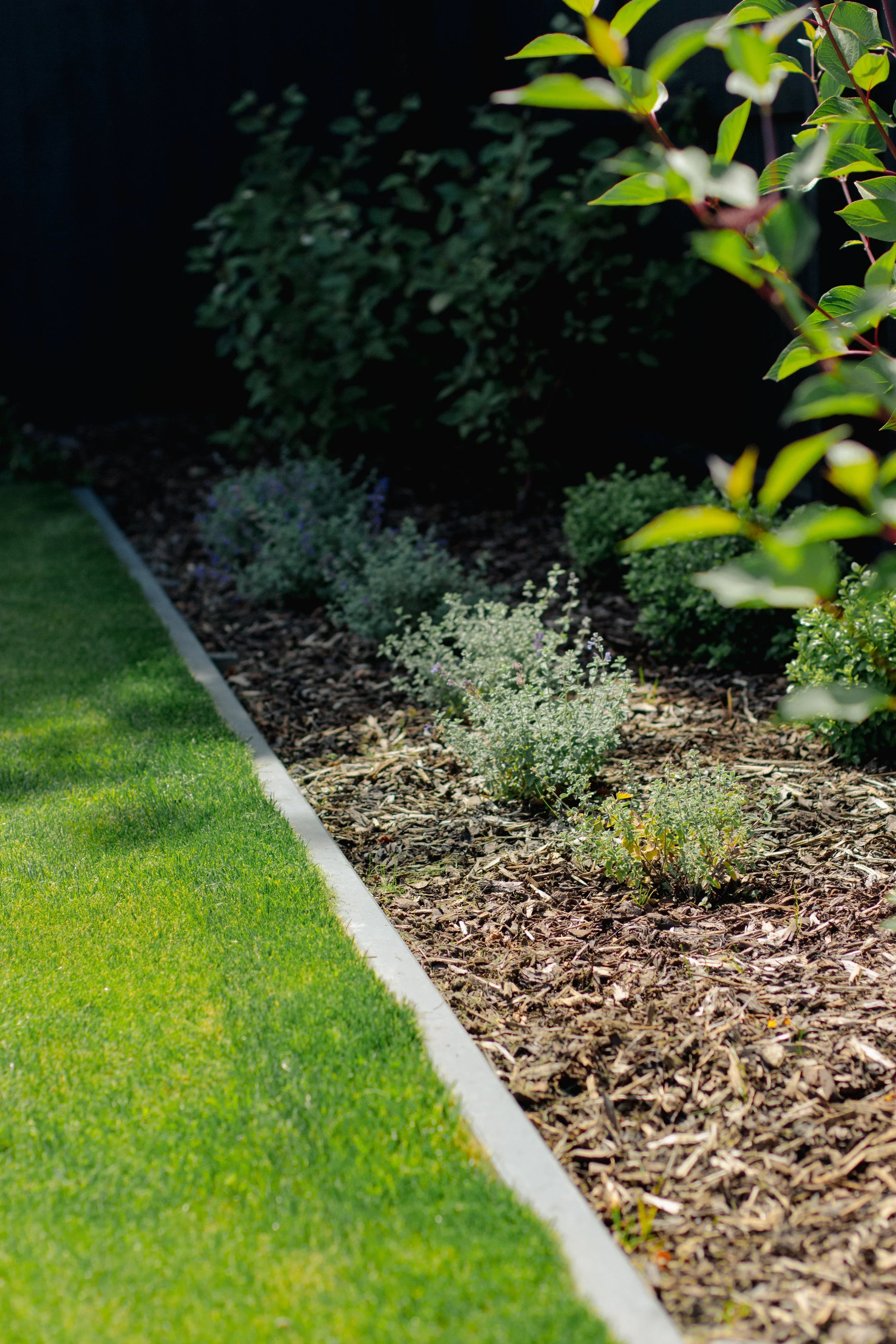 Photo 30-01-2026, 3 42 08 PM.jpg