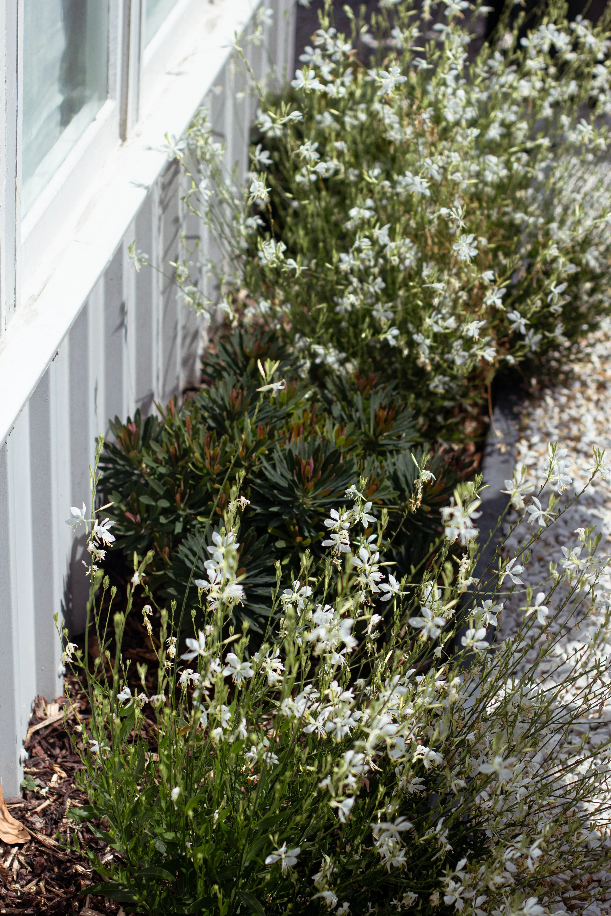 Photo 30-01-2026, 3 45 59 PM.jpg