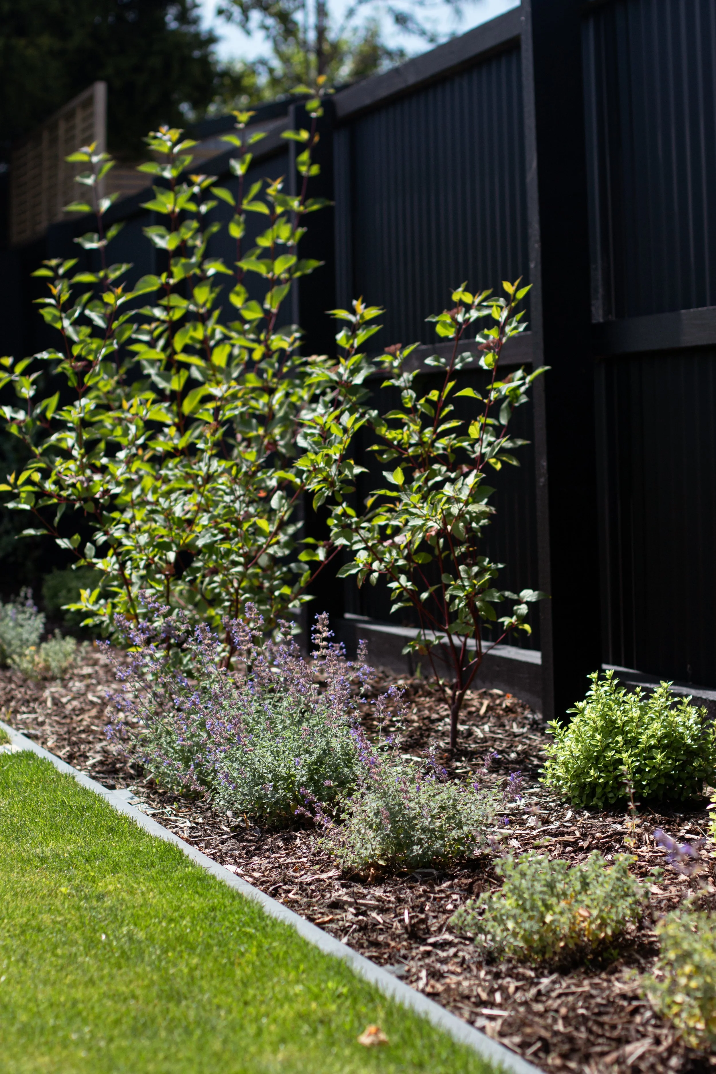 Photo 30-01-2026, 3 43 53 PM.jpg