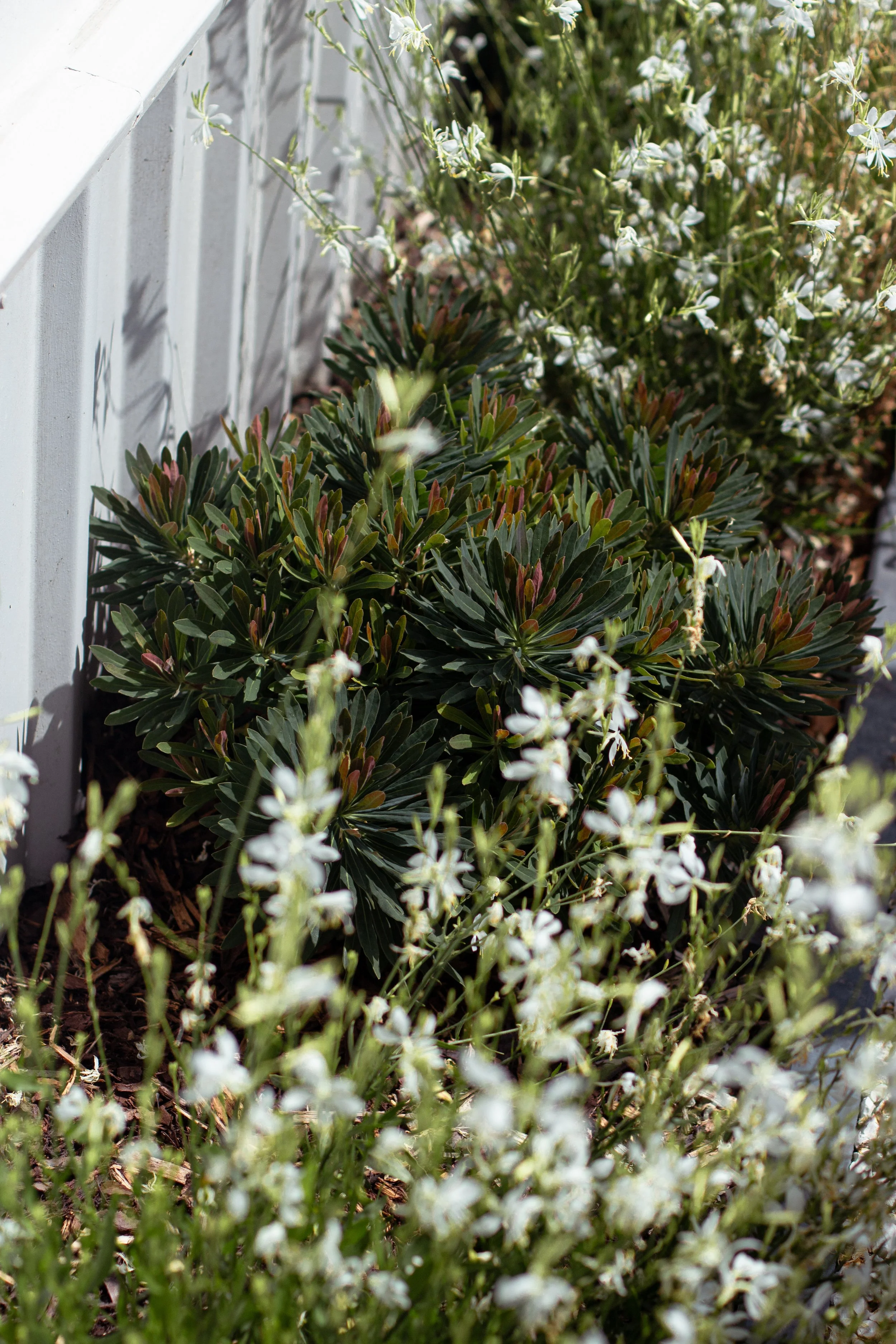 Photo 30-01-2026, 3 45 53 PM.jpg