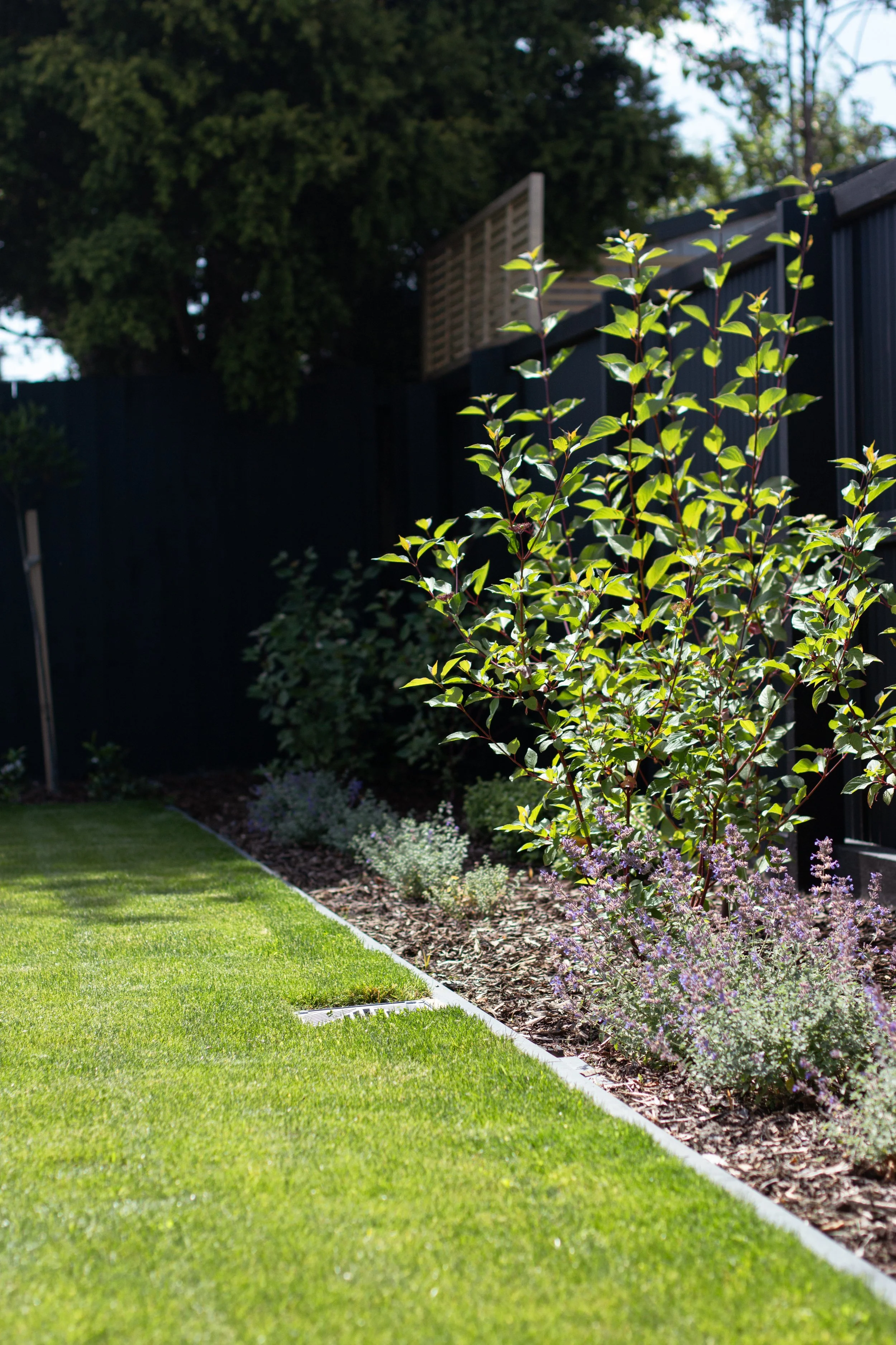 Photo 30-01-2026, 3 43 54 PM.jpg