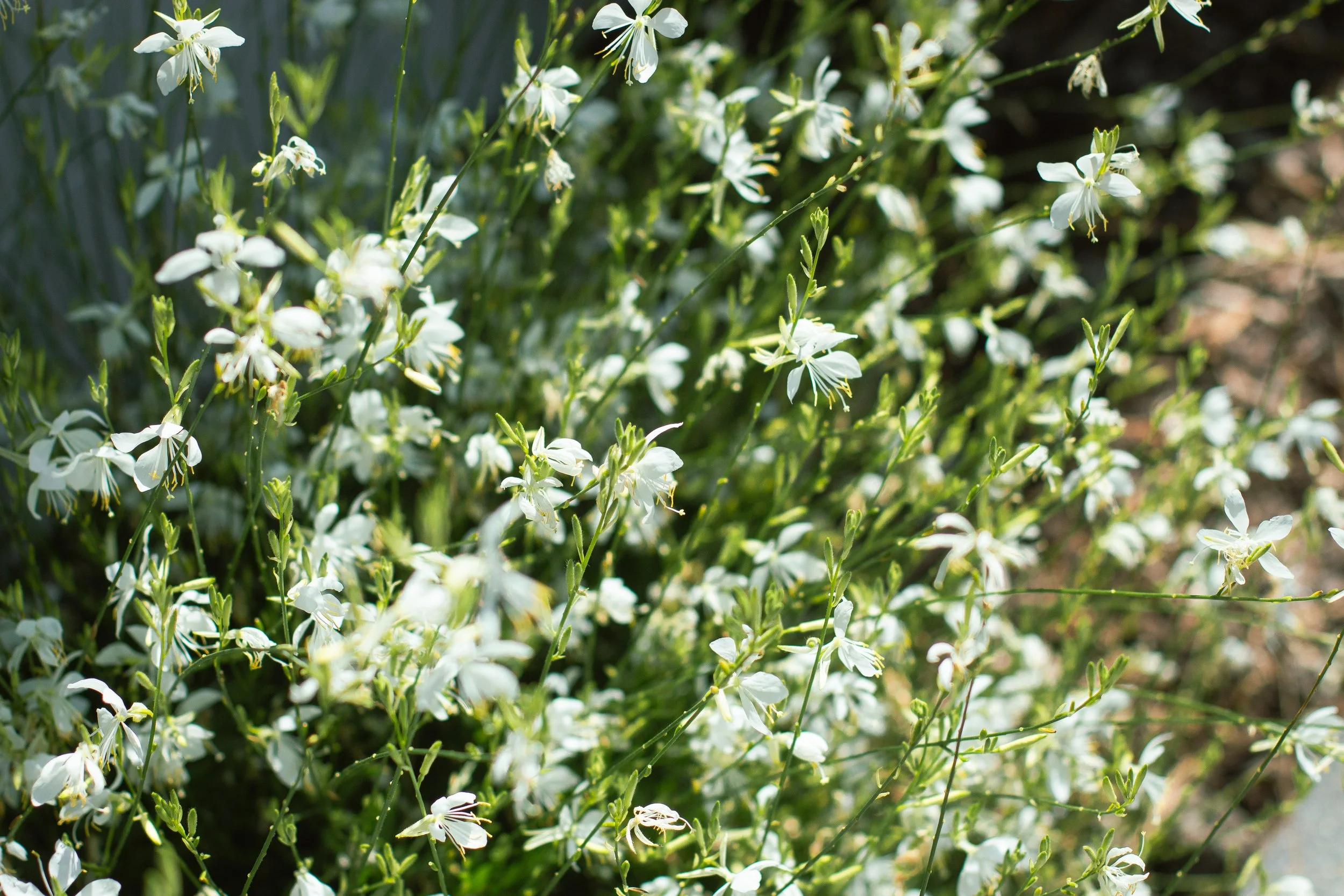 Photo 30-01-2026, 3 38 56 PM.jpg