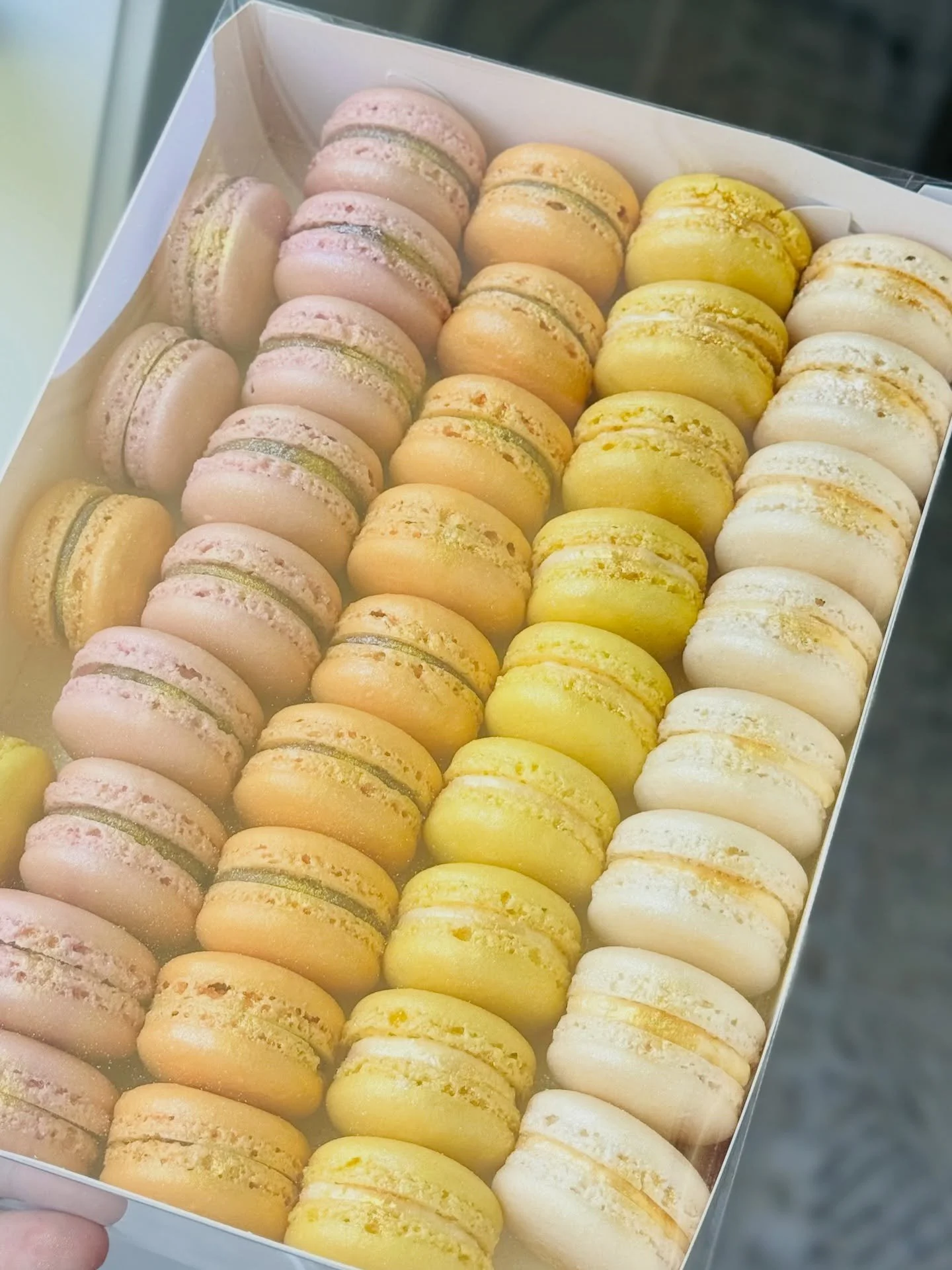 Beautiful sunset themed macarons ✨

Chocolate &amp; white chocolate coconut Macarons

📍Bahrs Scrub - Gold Coast - Brisbane | order now

#macarons #frenchmacarons #macaronlove #macaronstagram #macaronsofinstagram #sunsetmacarons #pastelmacarons #choc