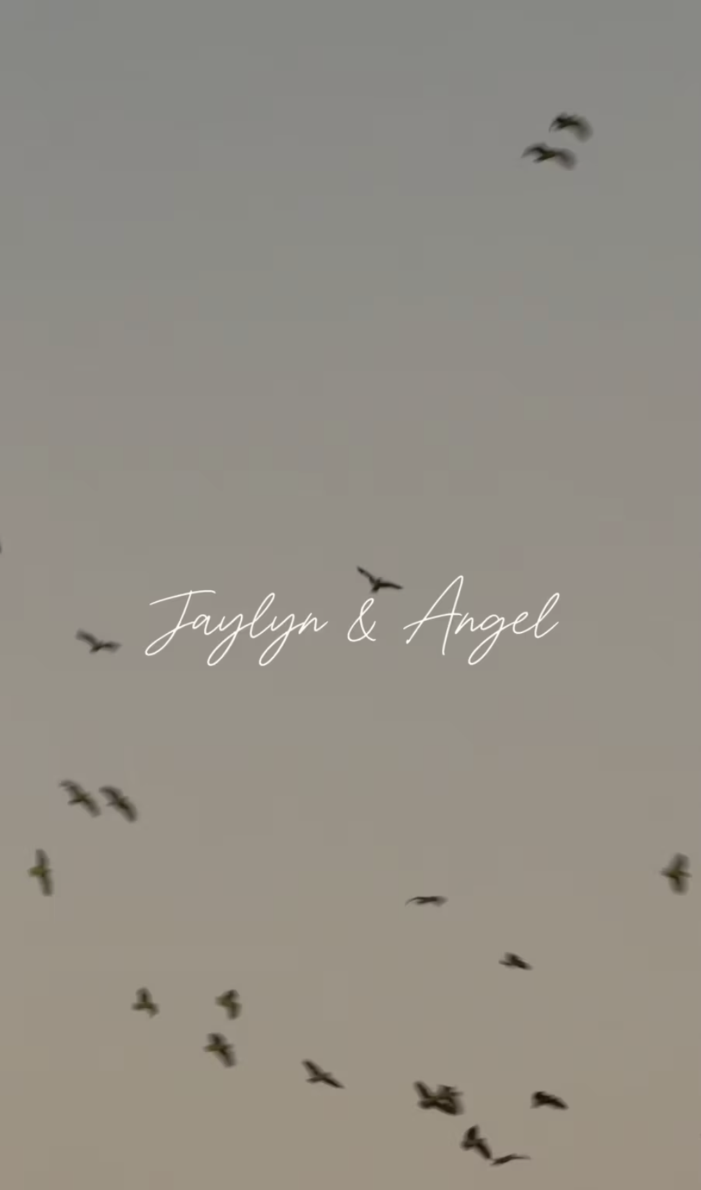 Screenshot 2025-11-02 at 7.43.39 PM.png