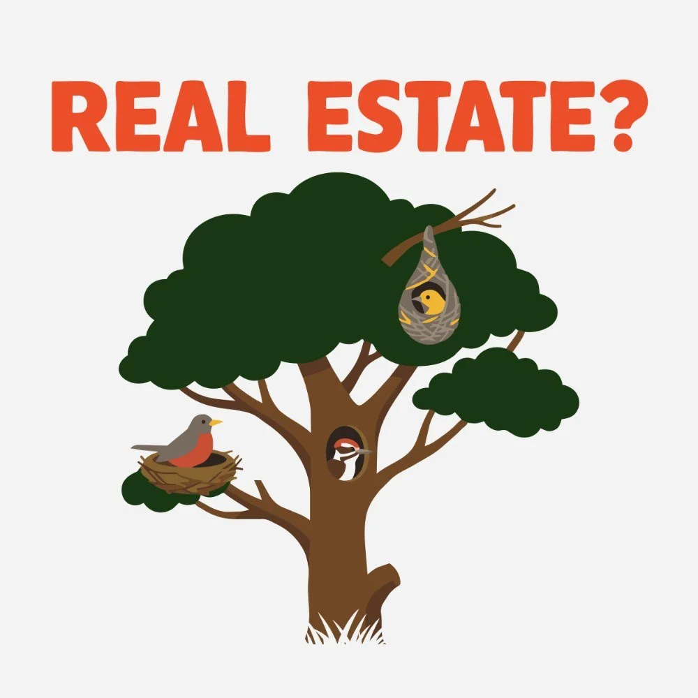 E34: Okay, but what's the deal with nests?