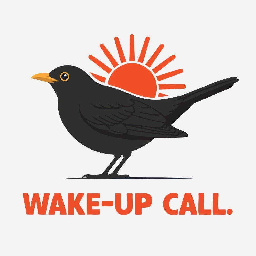 E30: Okay, but is the dawn chorus getting quieter?