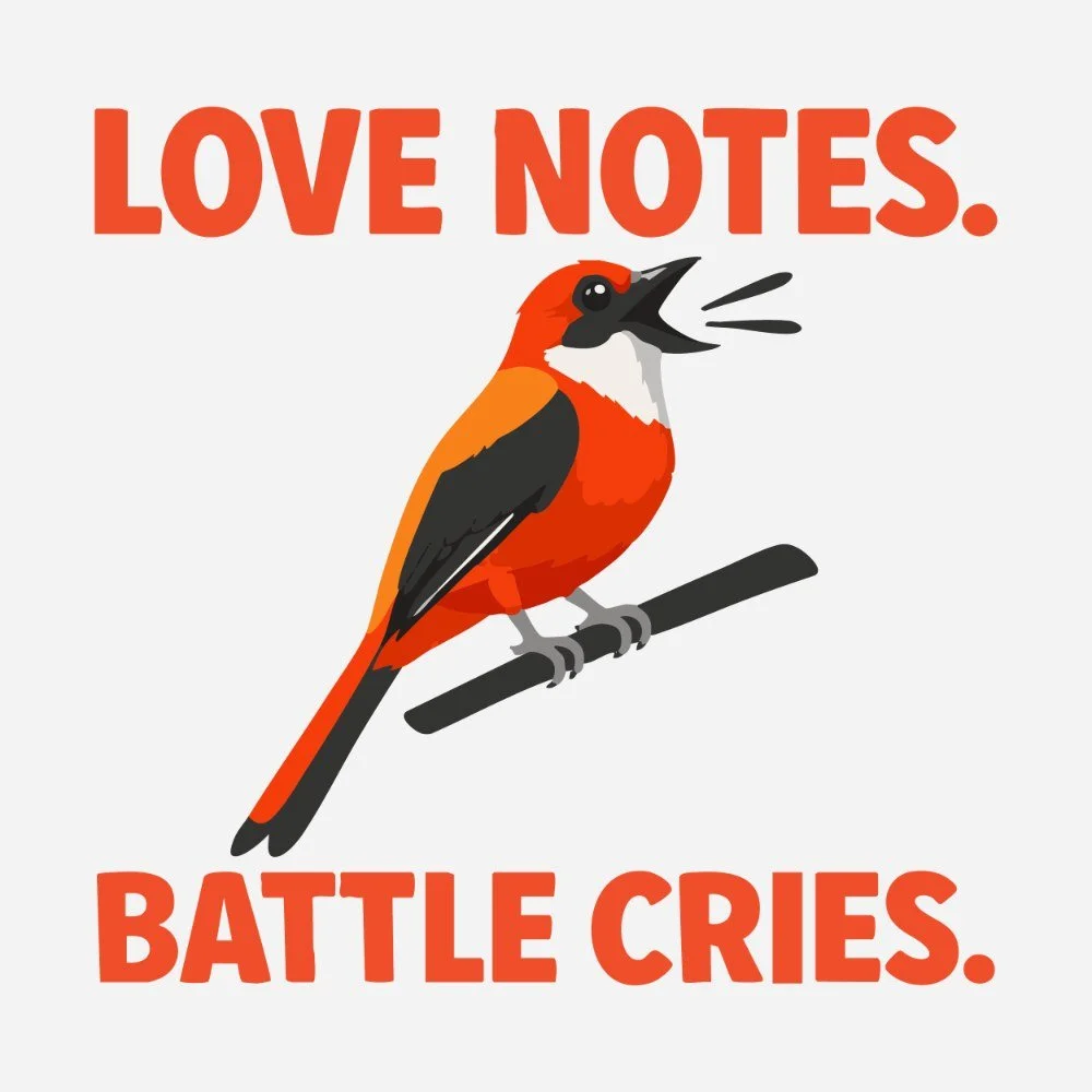 E7: Okay, but who helped build the world's bird soundtrack? The inside scoop on Merlin!