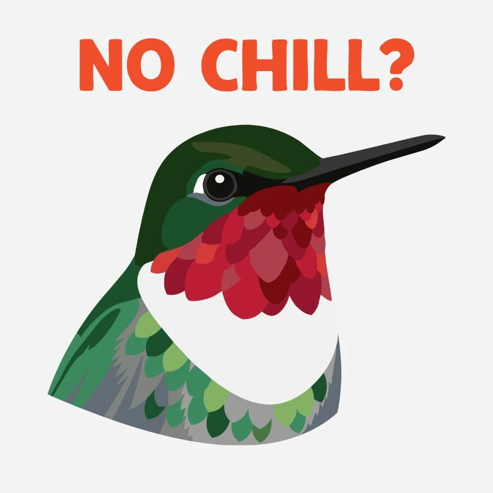E36: Okay, but do hummingbirds ever chill?
