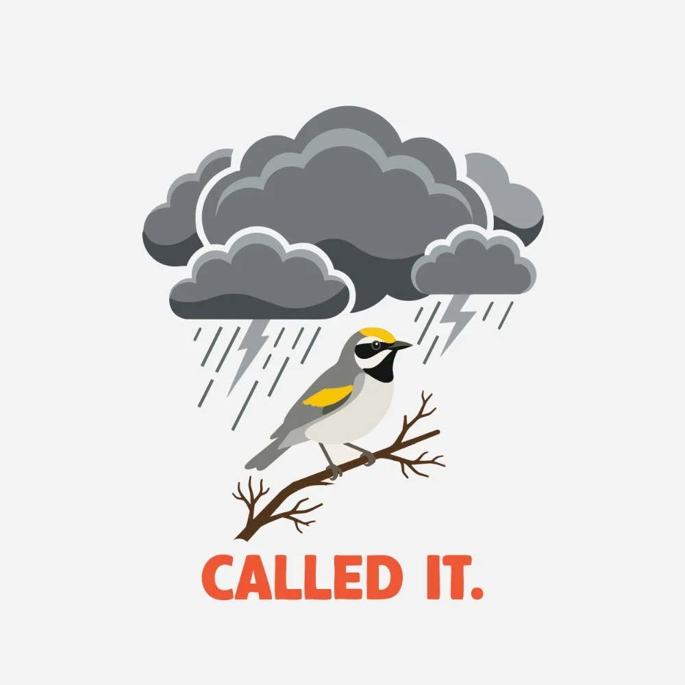 E22: Okay, but can birds predict the weather?