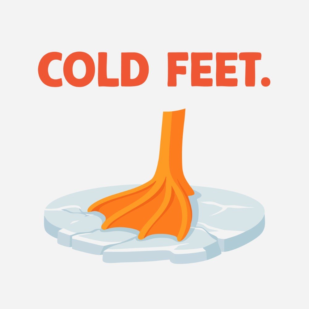 E12: Okay, but how do birds stay warm?