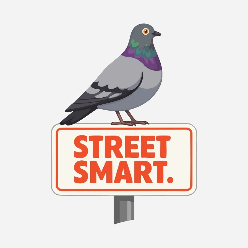 E8: Okay, but why do some birds thrive in cities?