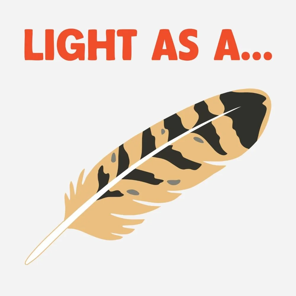 E38: Okay, but what's up with feathers?
