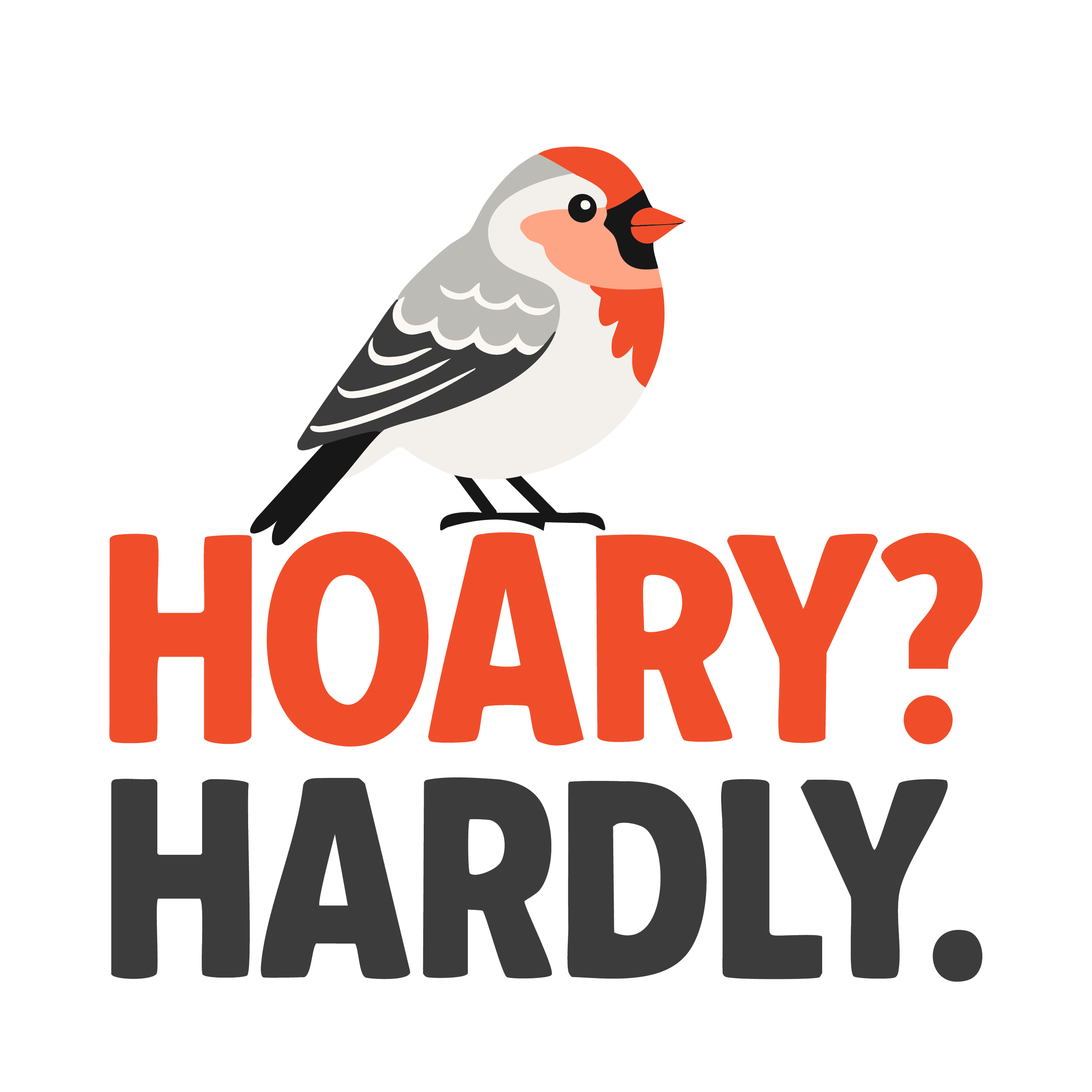 Illustration of a hoary redpoll with the text "hoary? hardly?"