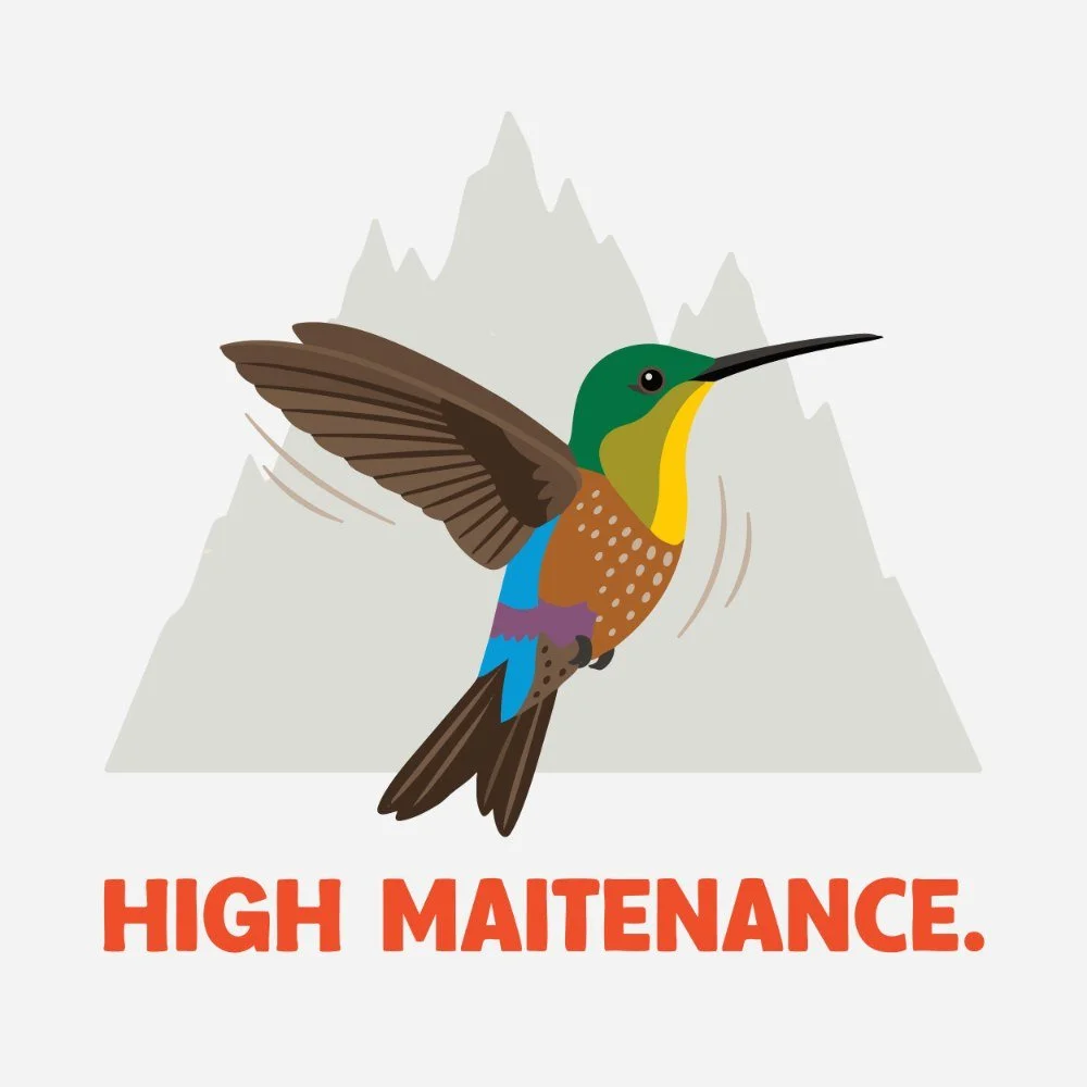 E29: Okay, but what's it like as a bird at the top of the world?