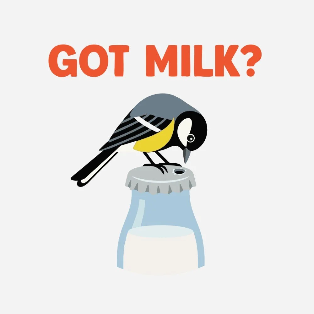 E17: Okay, but do birds have culture?