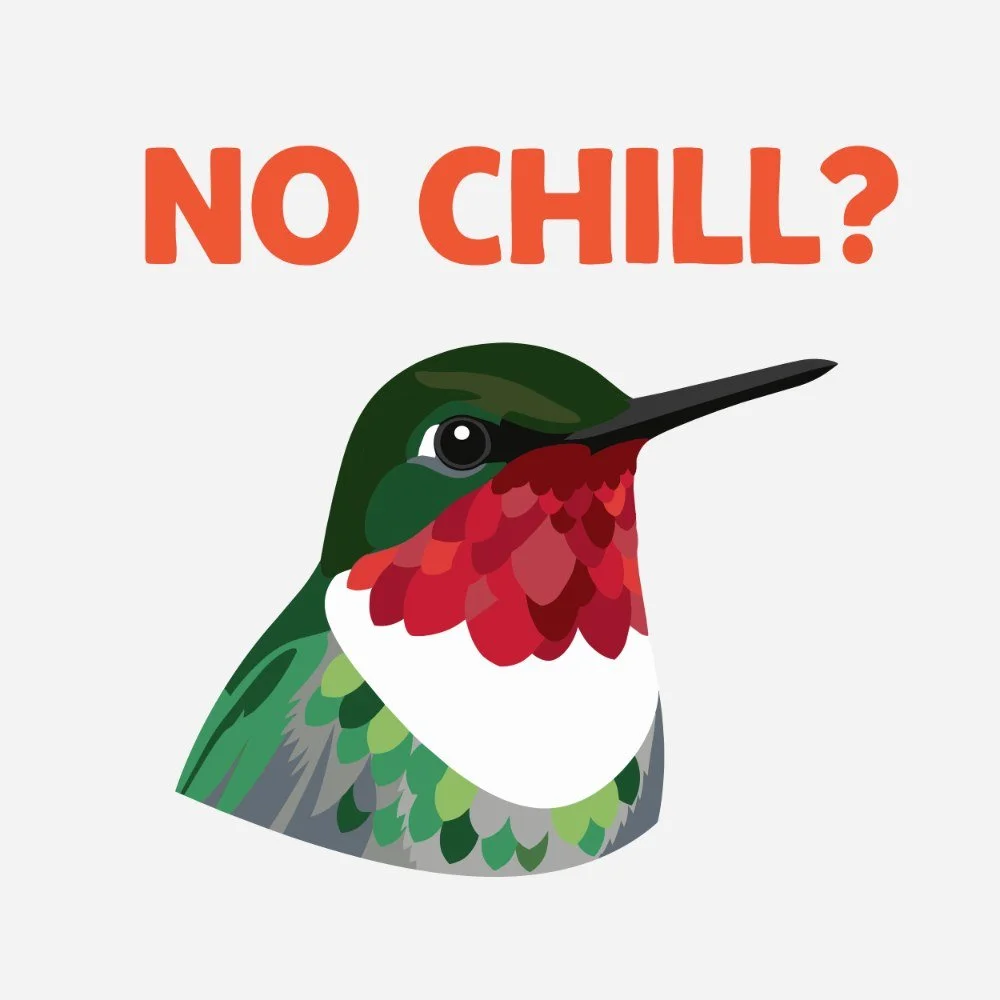 E36: Okay, but do hummingbirds ever chill?
