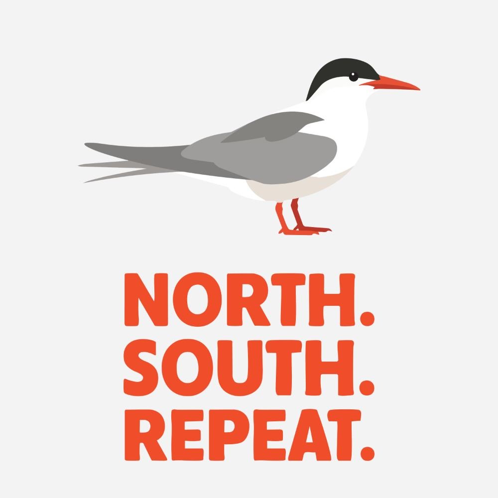 E5: Okay, but why fly from the Arctic to Antarctica and back every year?