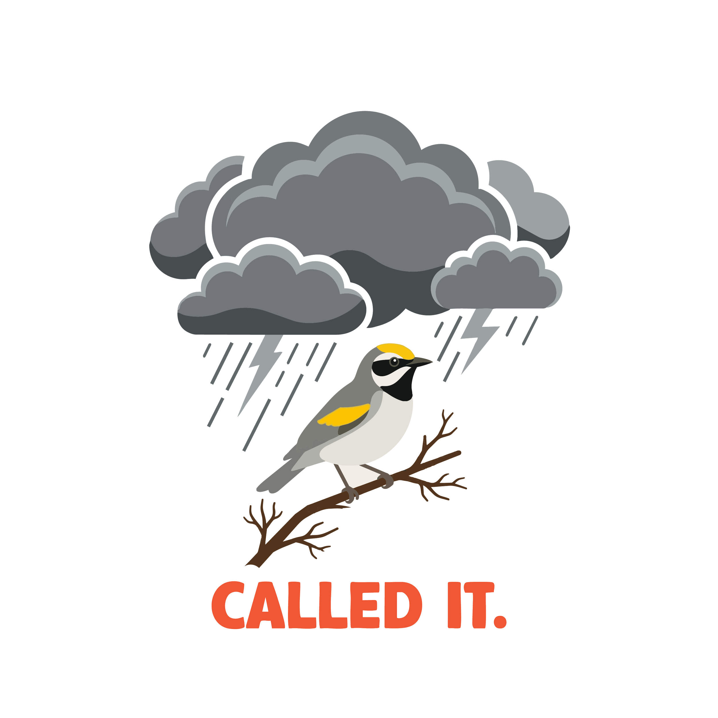 EP22: Okay, but can birds predict the weather?