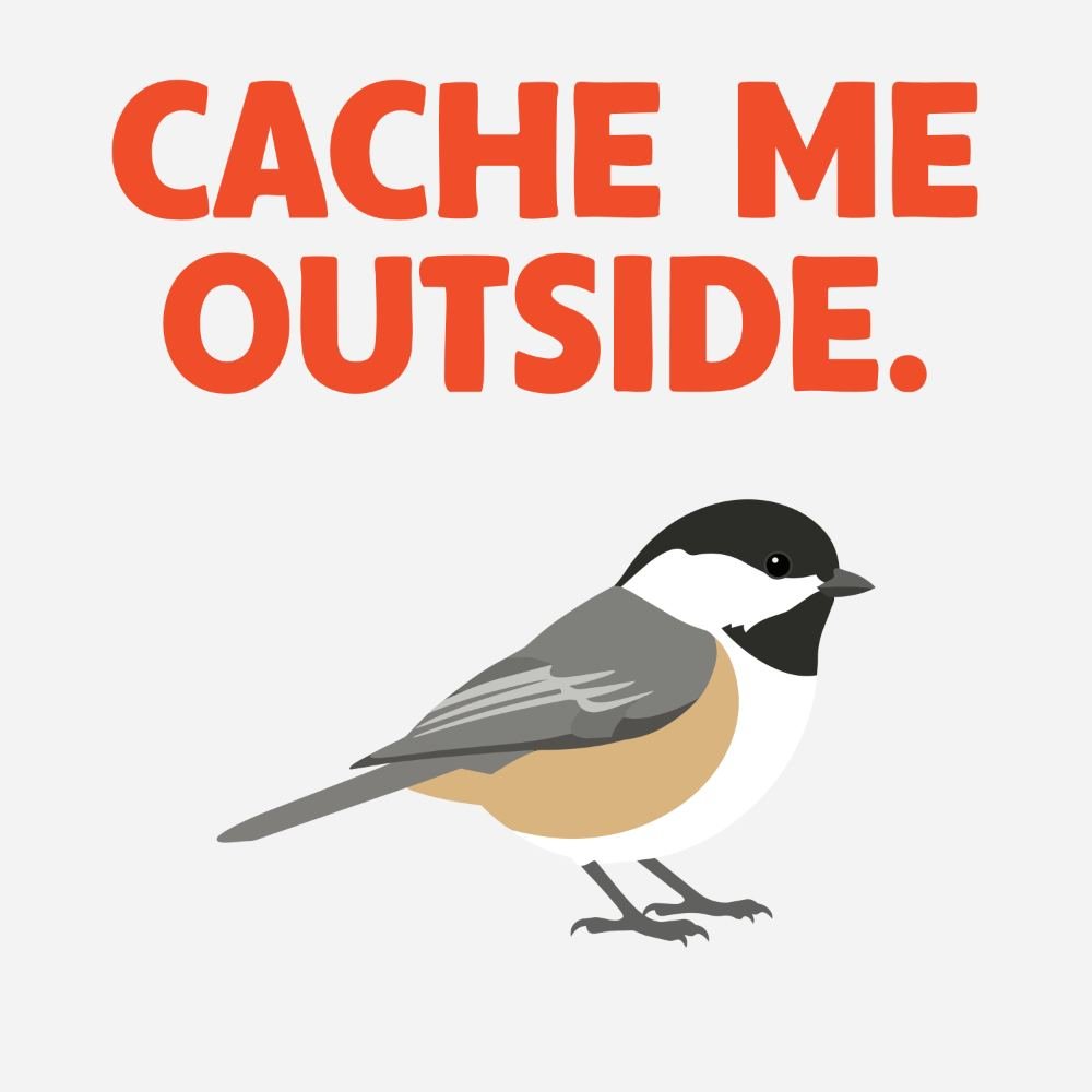 E6: Okay, but how do chickadees never forget?