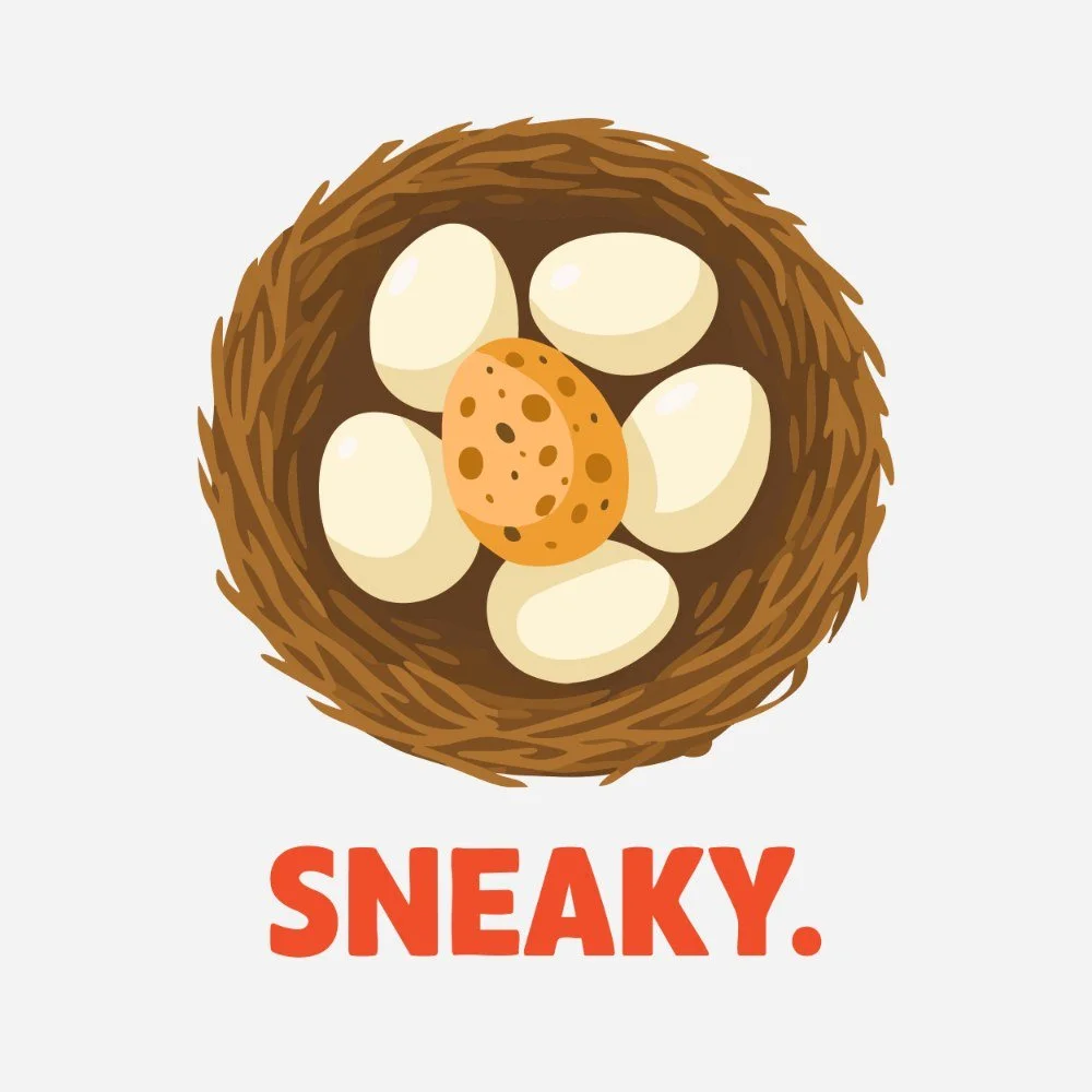 E16: Okay, but why put eggs in another bird's basket?
