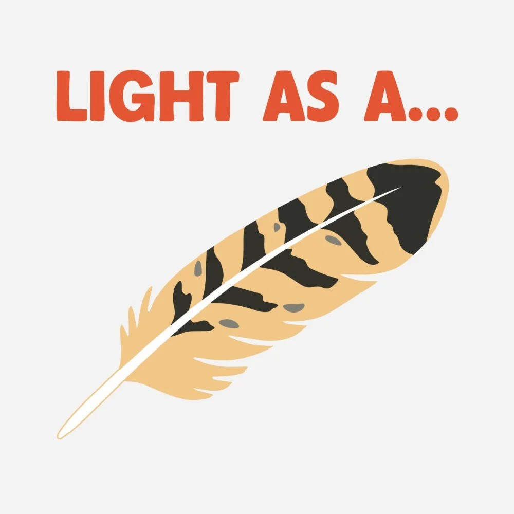 E38: Okay, but what's up with feathers?