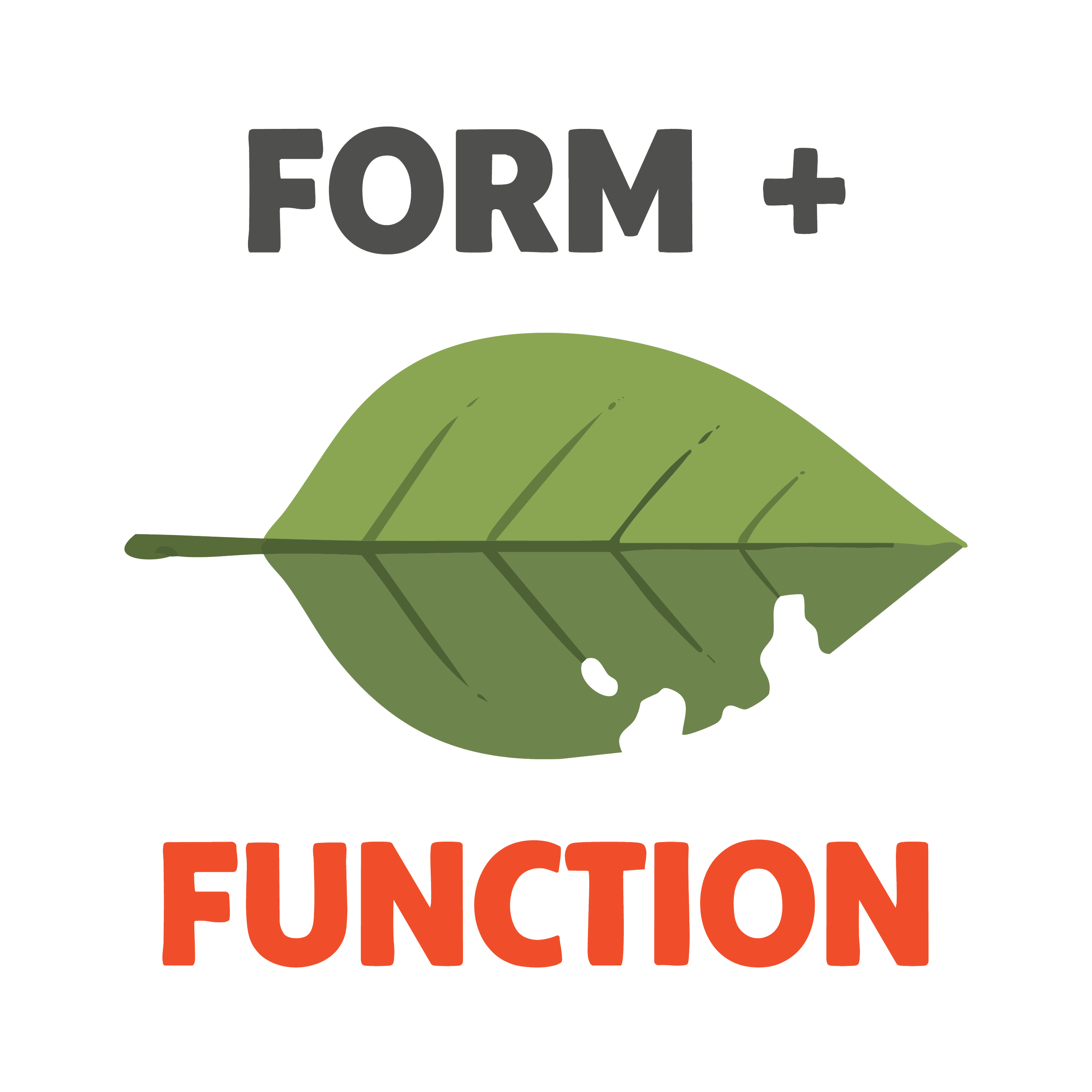 E15: Okay, but what makes a yard a bird paradise?