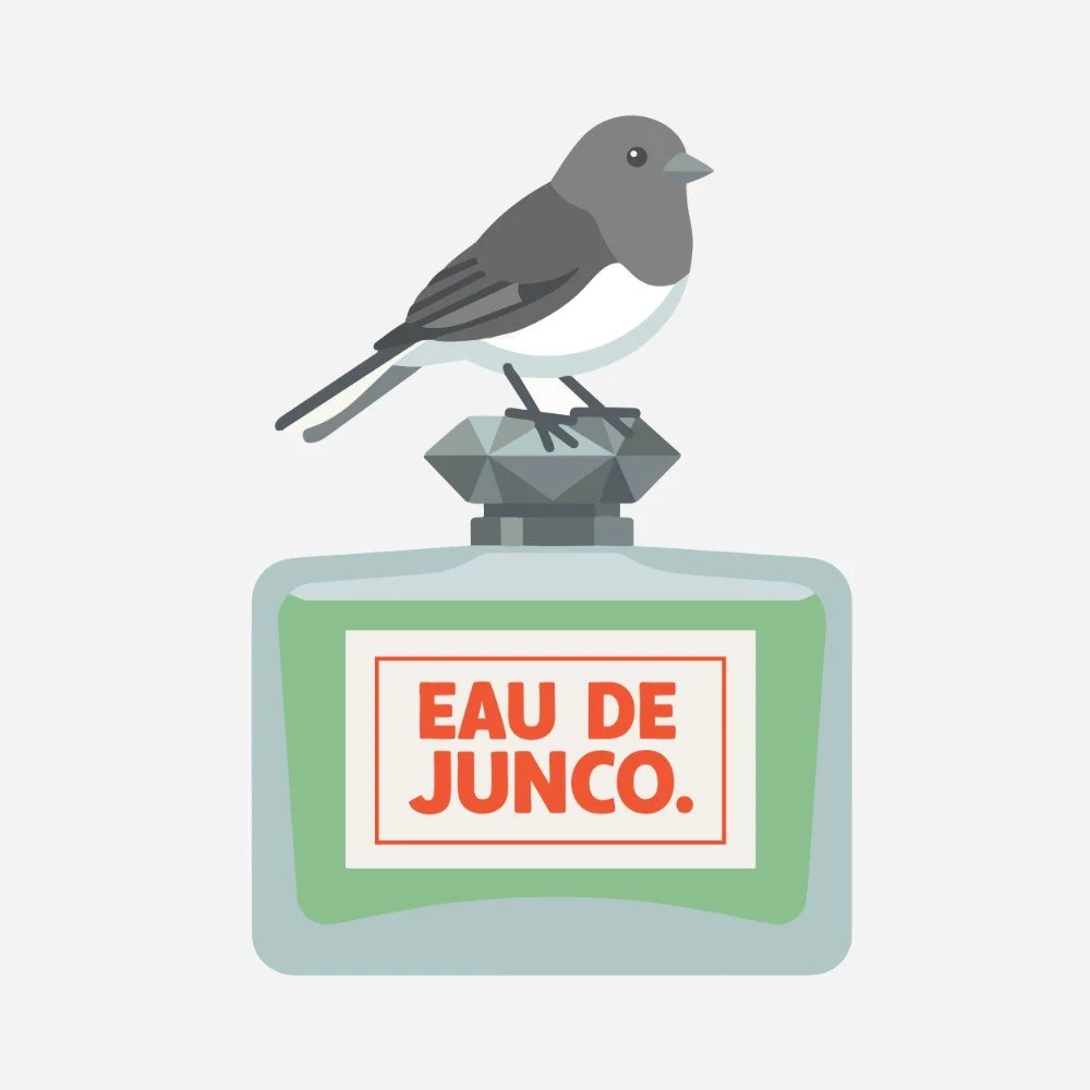 E21: Okay, but can birds smell?