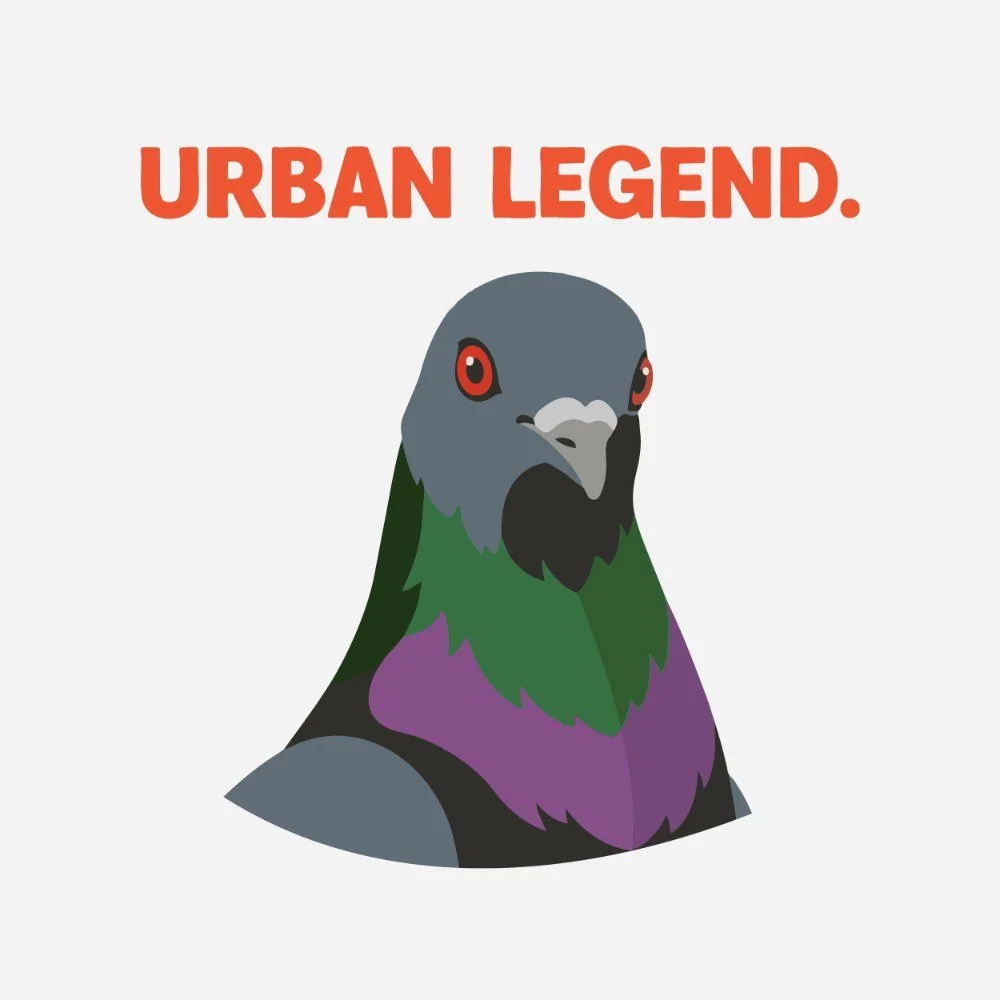E27: Okay, but... pigeons!
