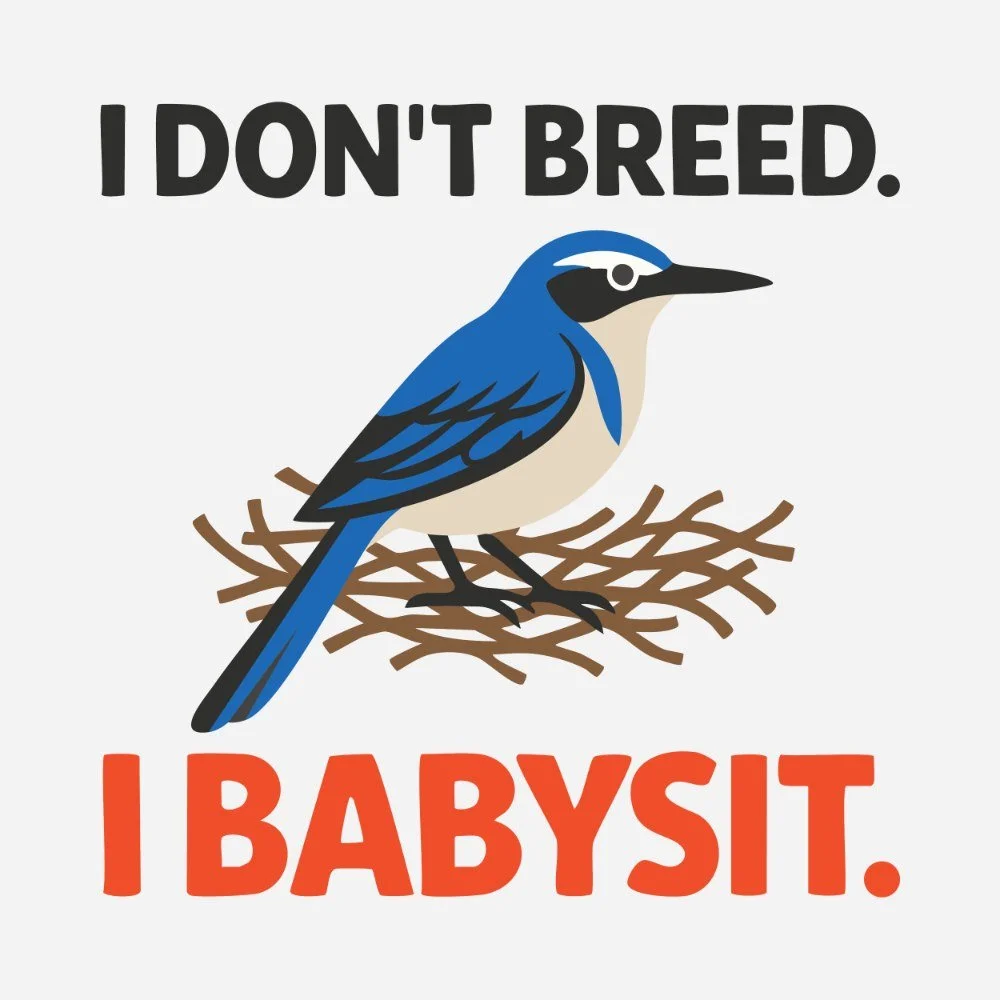 E13: Okay, but why do some birds babysit?