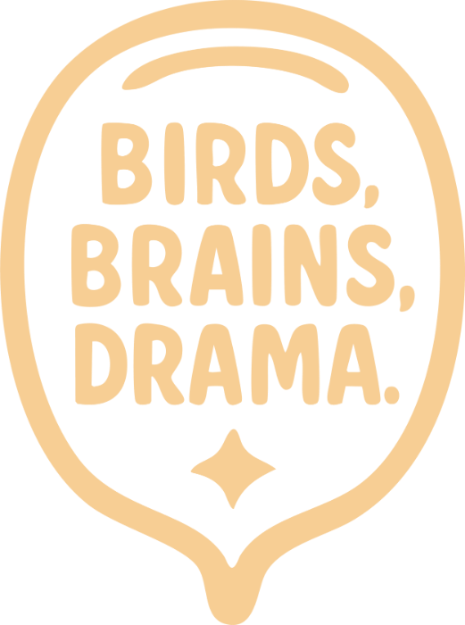 A circular badge with the text "BIRDS, BRAINS, DRAMA" inside, surrounded by a beige border on a black background.