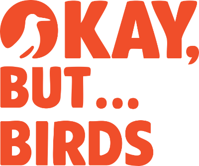 Okay, But... Birds