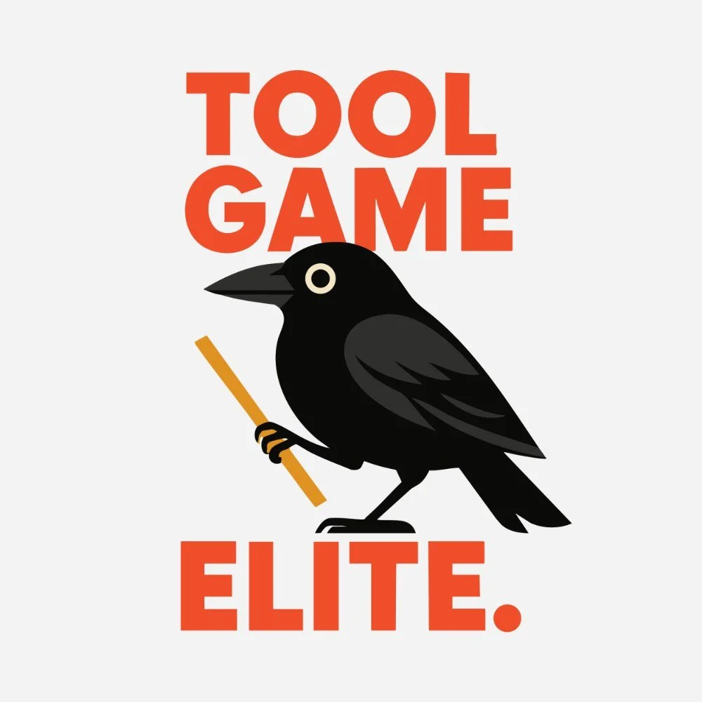 E18: Okay, but what's in a bird's toolbox?