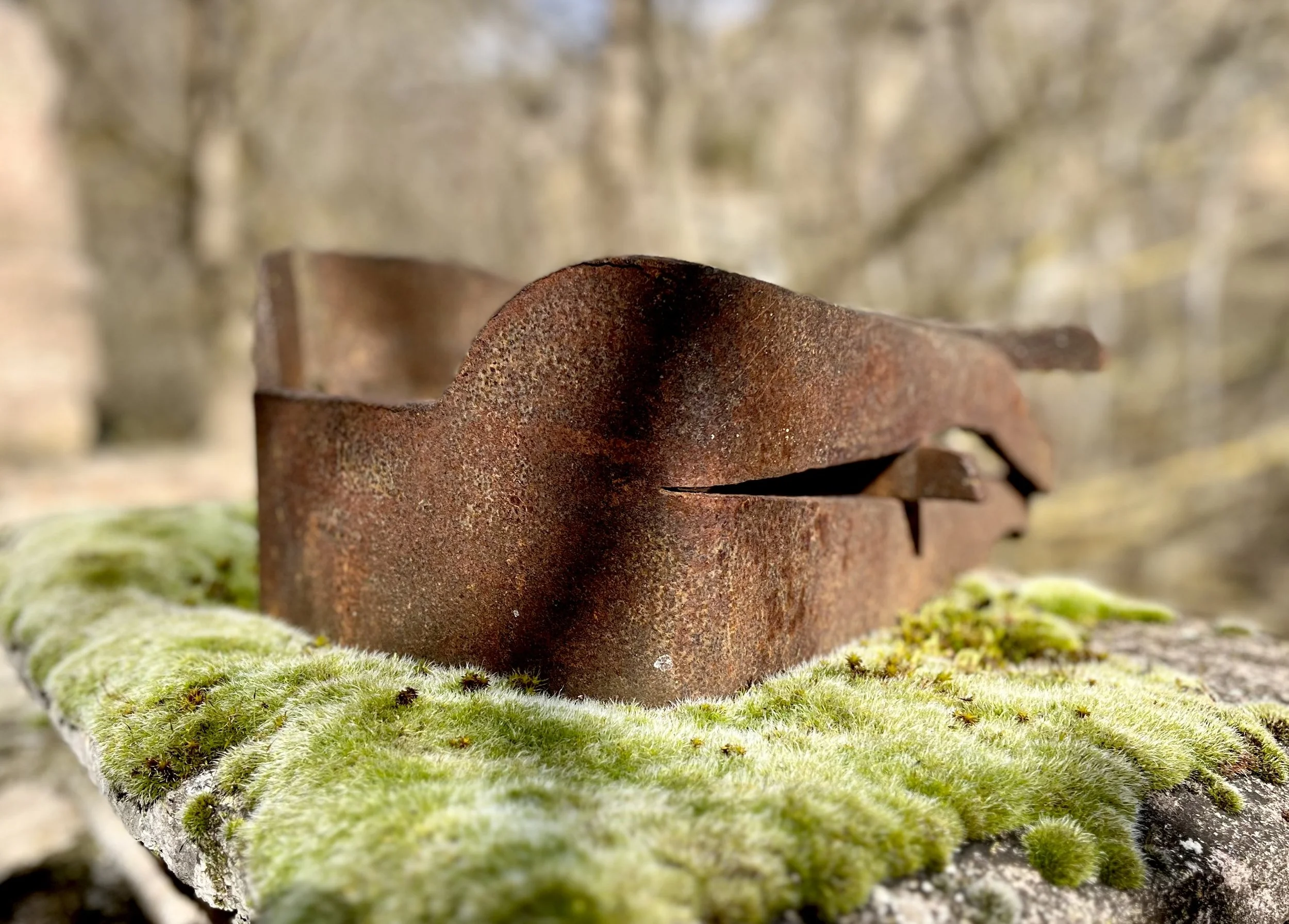 Sepia (2019) | Hierro | 37 X 35 X 14 cm