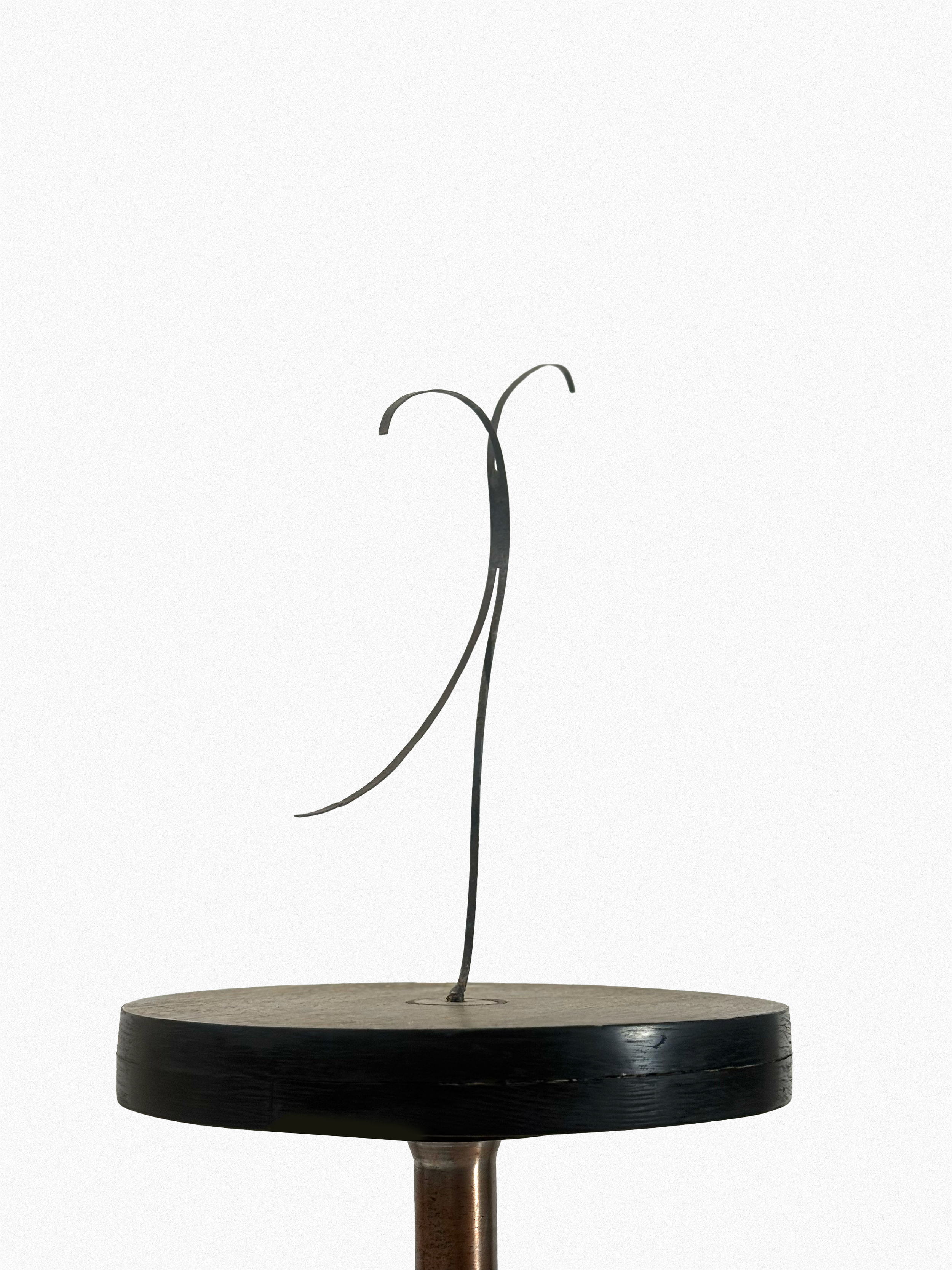 Taro 1 (2015) | Hierro y madera | 17 x 17 x 40 cm (sold)