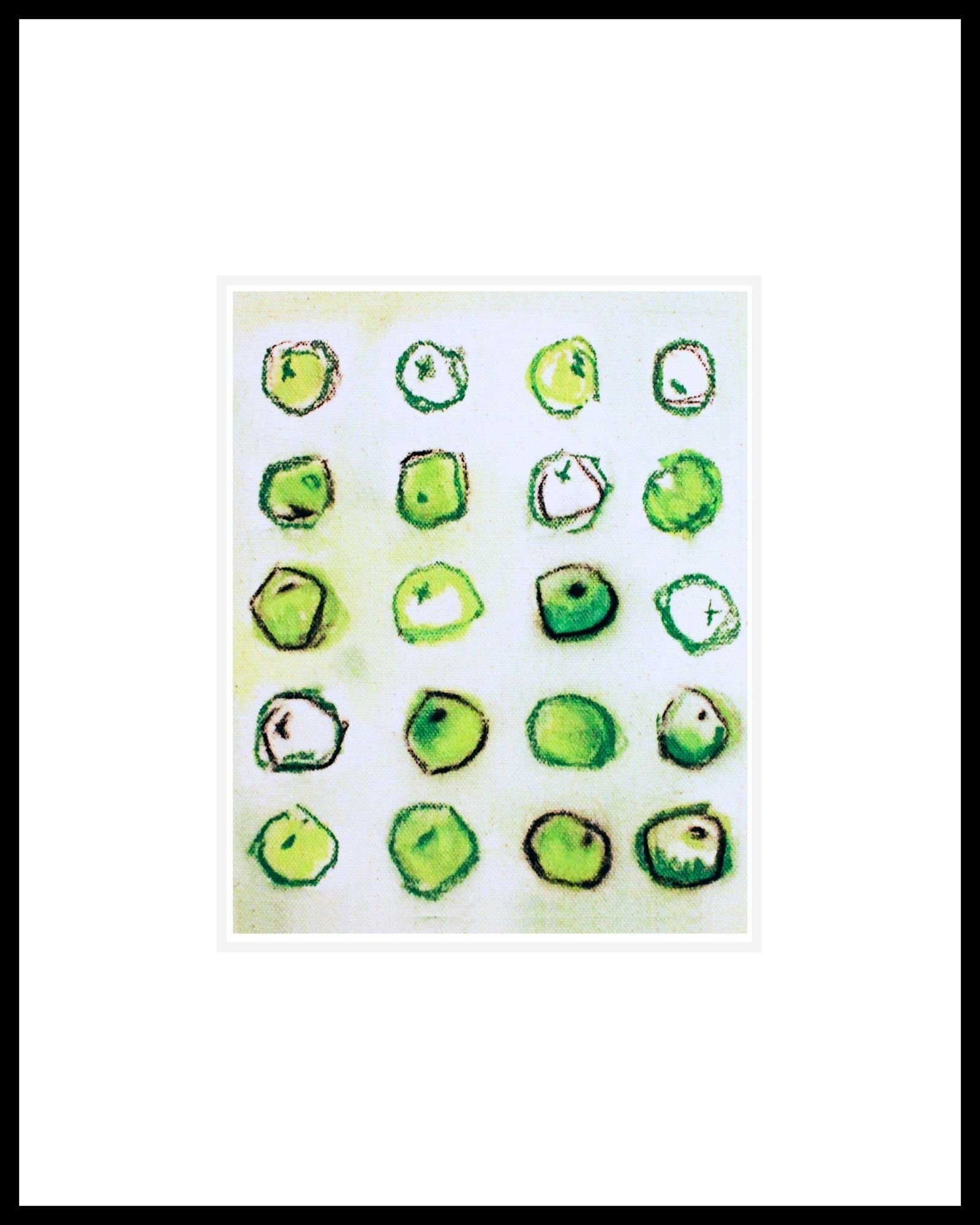 A collection of green citrus fruits, possibly limes, arranged in a grid pattern on a white background.