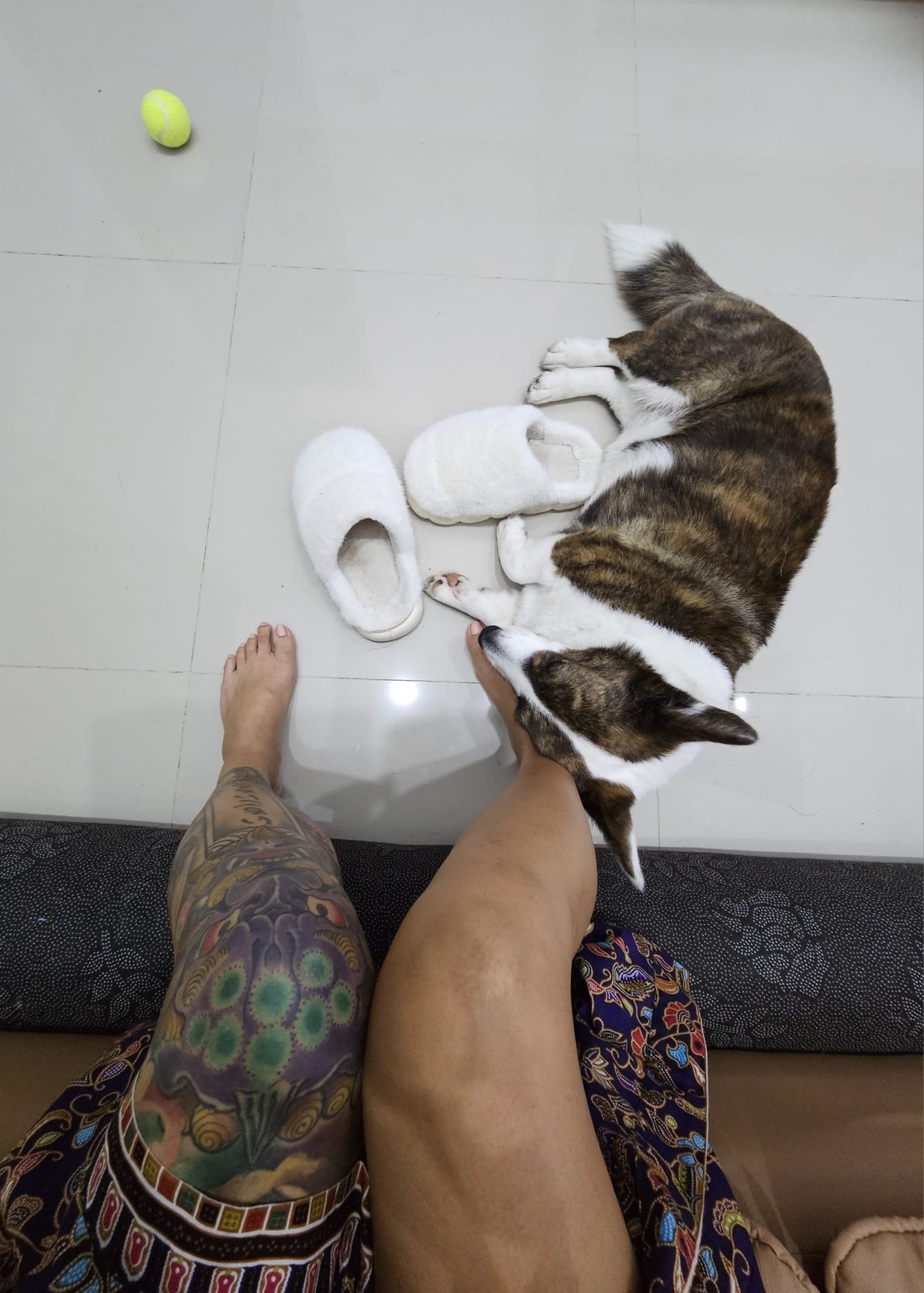 Nap on your feet.jpeg